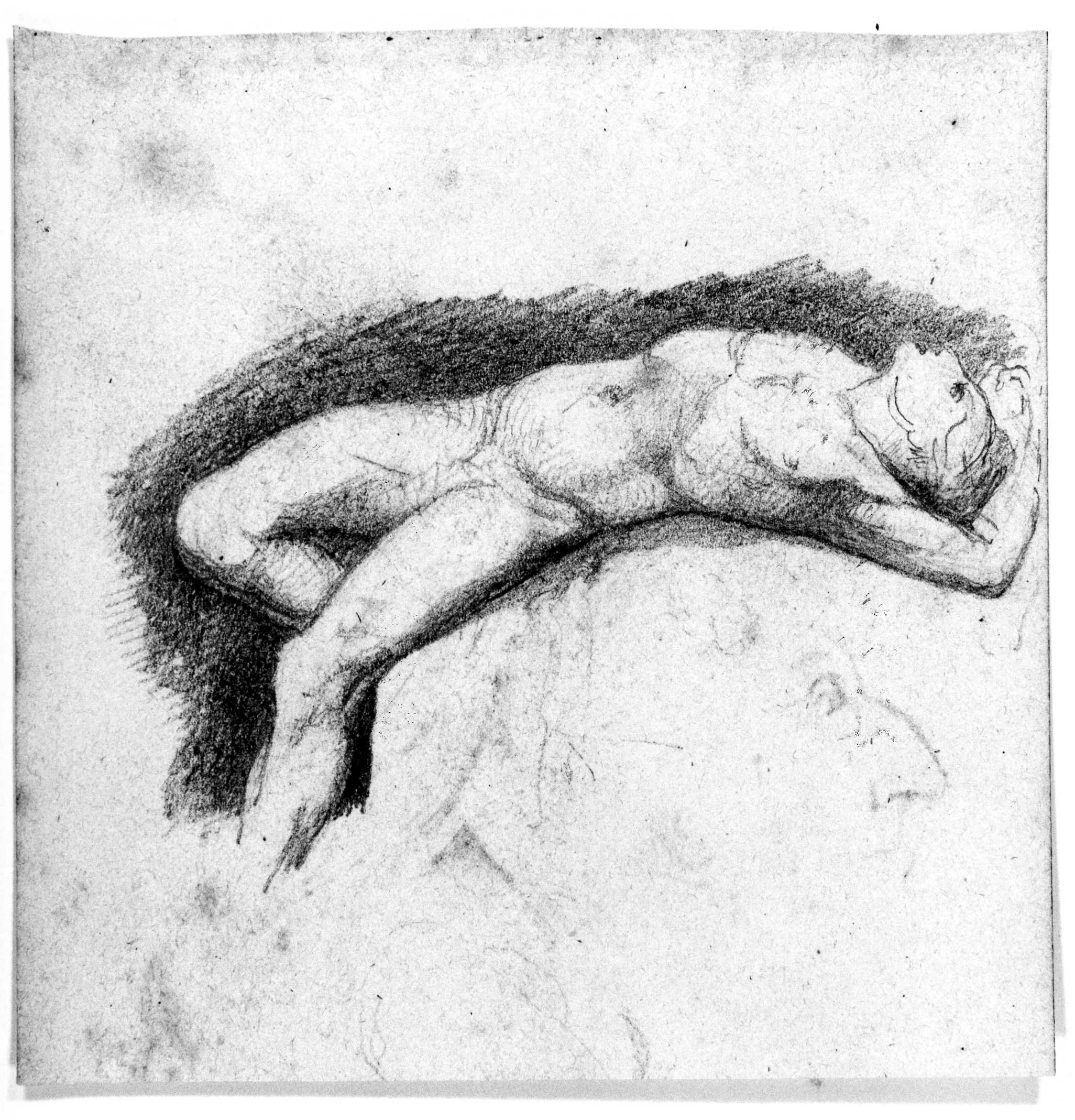 giovane nudo (disegno) di DuprÃ¨ Giovanni (sec. XIX)