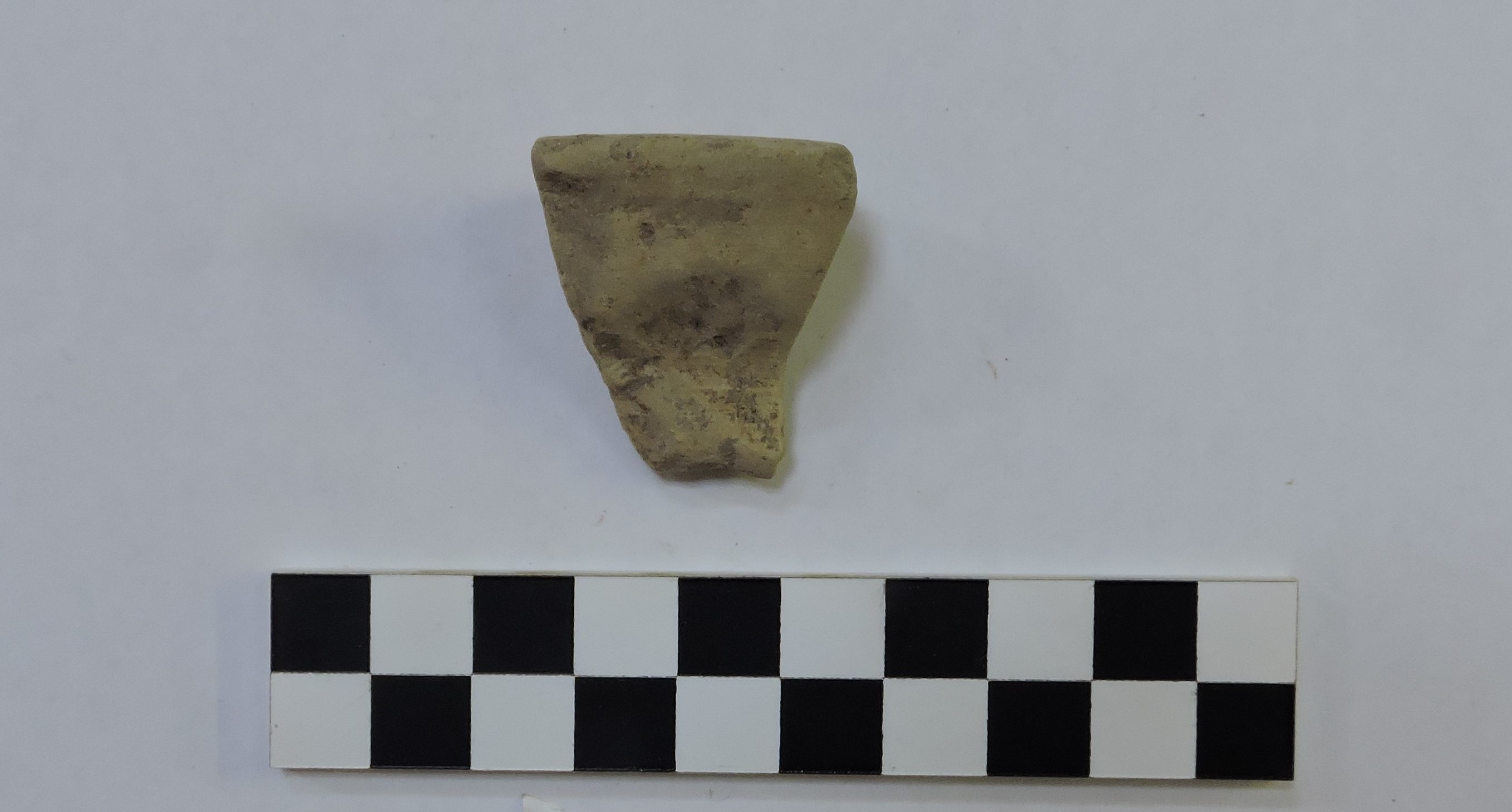 SINGOLO OGGETTO/ anfora, SECOLI/ ARCHI DI SECOLI/ VI a.C.-V a.C