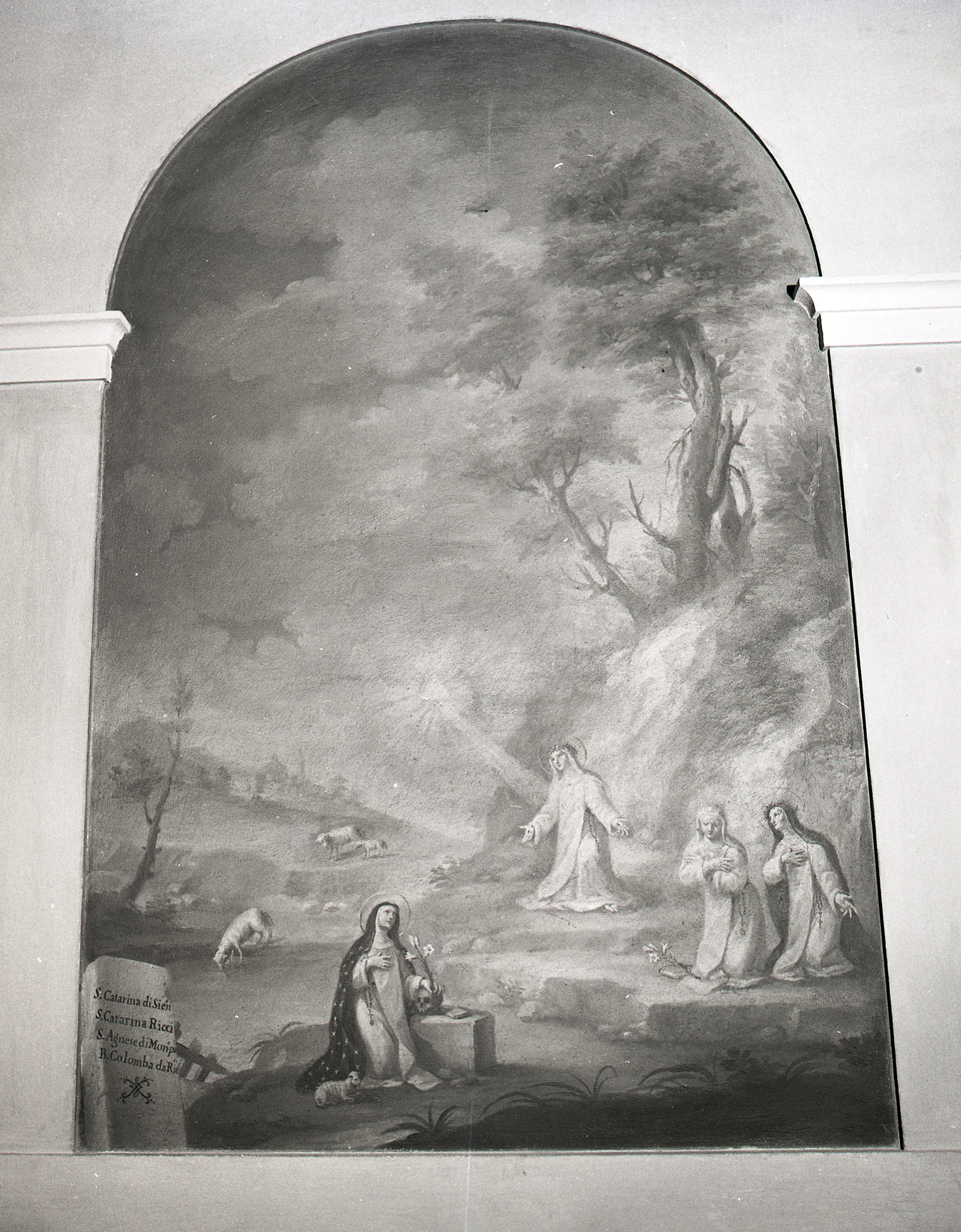 Santa Caterina da Siena, Santa Caterina de' Ricci, Sant'Agnese da Montepulciano e la beata Colomba da Rieti (dipinto, elemento d'insieme) - ambito bolognese (ultimo quarto XVIII)