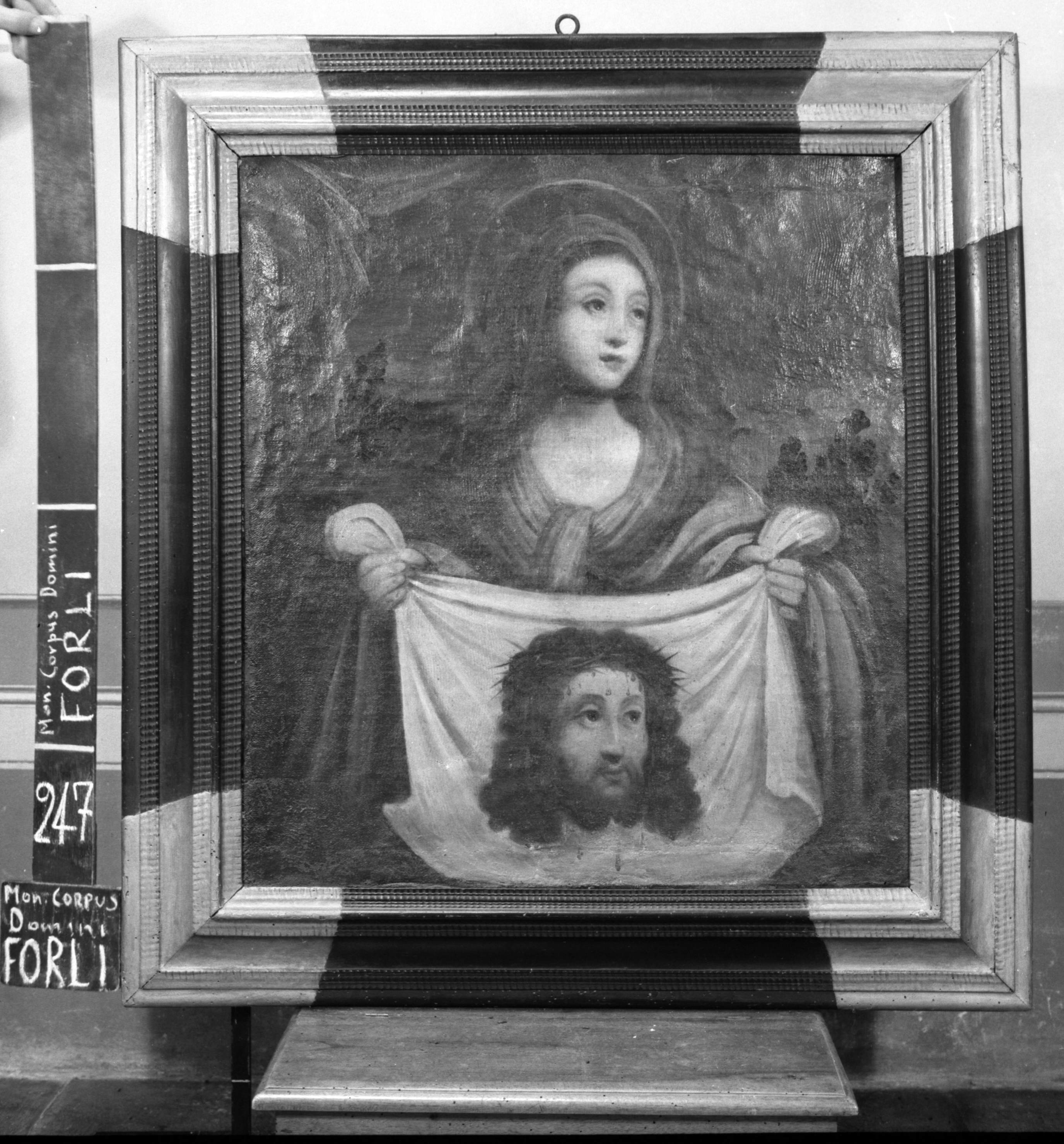 Santa Veronica sostiene il velo (dipinto, opera isolata) - ambito emiliano (XVII)