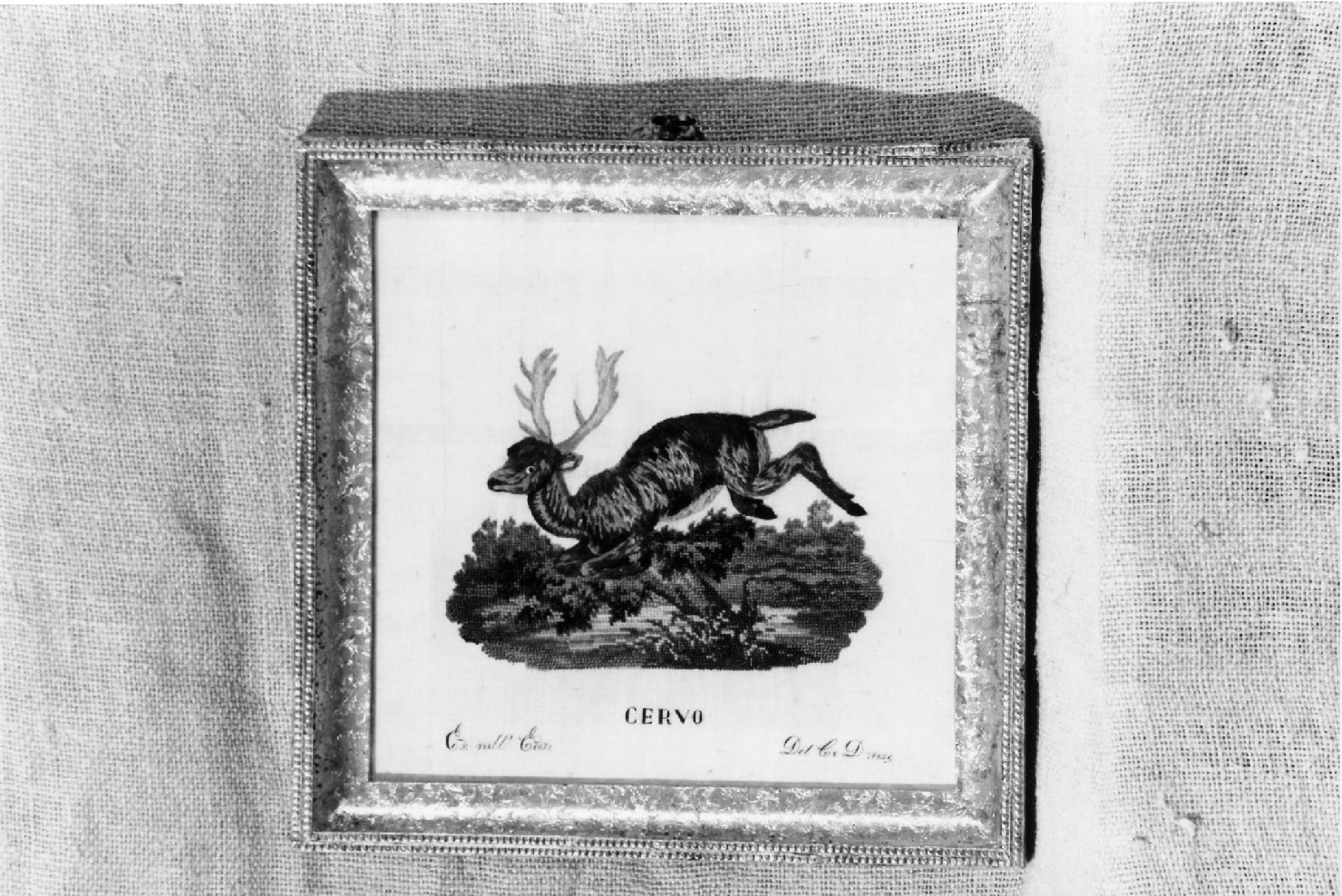 Cervo (tappezzeria, opera isolata) - ambito forlivese (terzo quarto XIX)