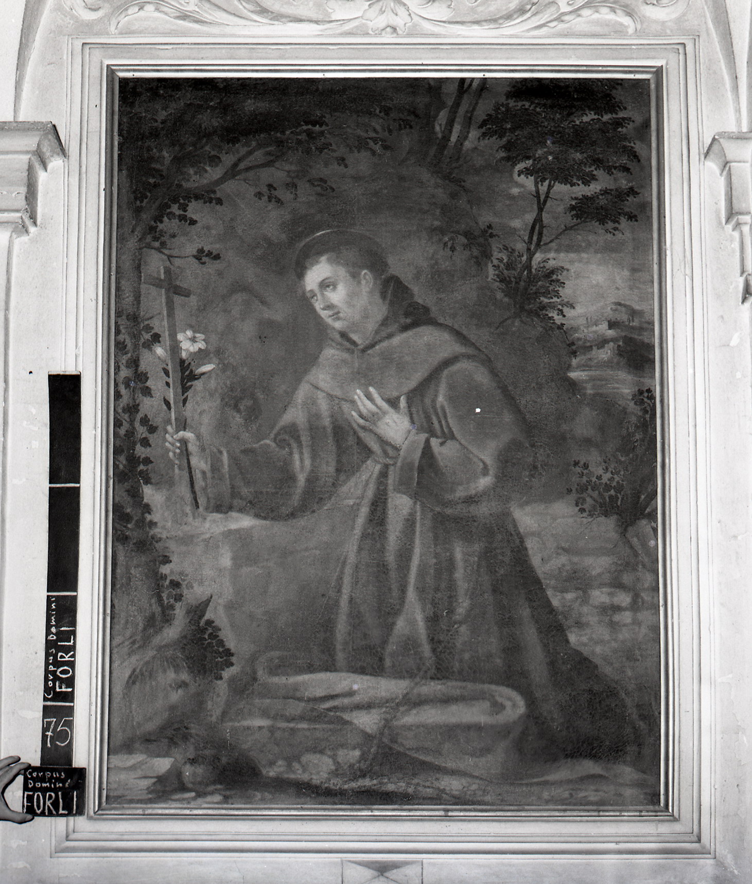 Sant'Antonio da Padova in adorazione del crocifisso (dipinto, opera isolata) - ambito romagnolo (seconda metà XVII)