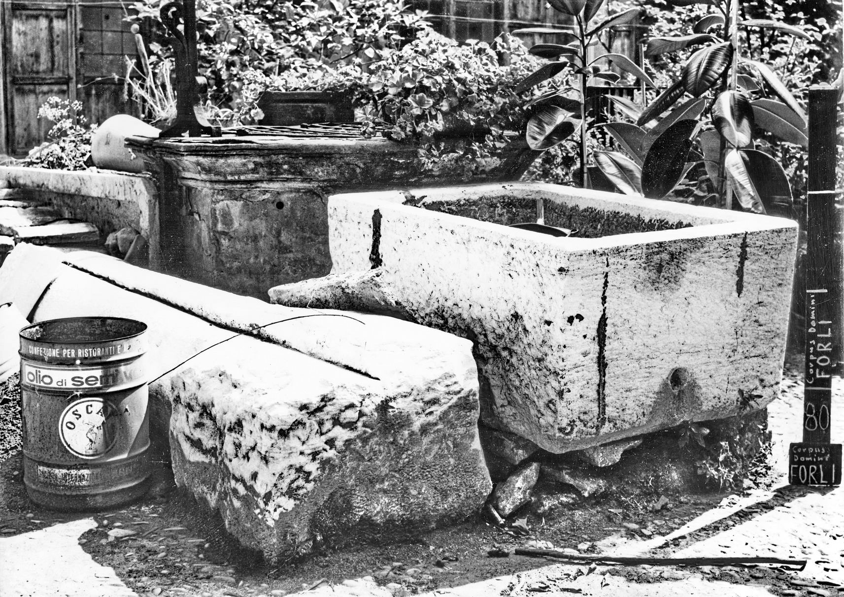 abbeveratoio, insieme - manifattura romagnola (XVIII)