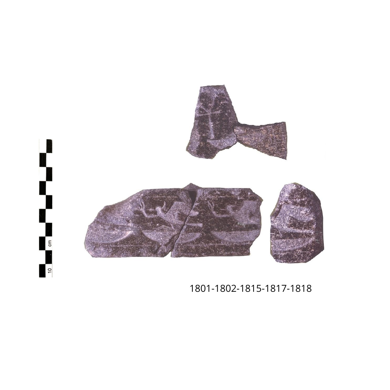 testo geroglifico, motivo degli uccelli-rekhit (statua/ base, cinque frammenti) - periodo di regno di Amenofi III (primo quarto SECOLI/ XIV a.C)