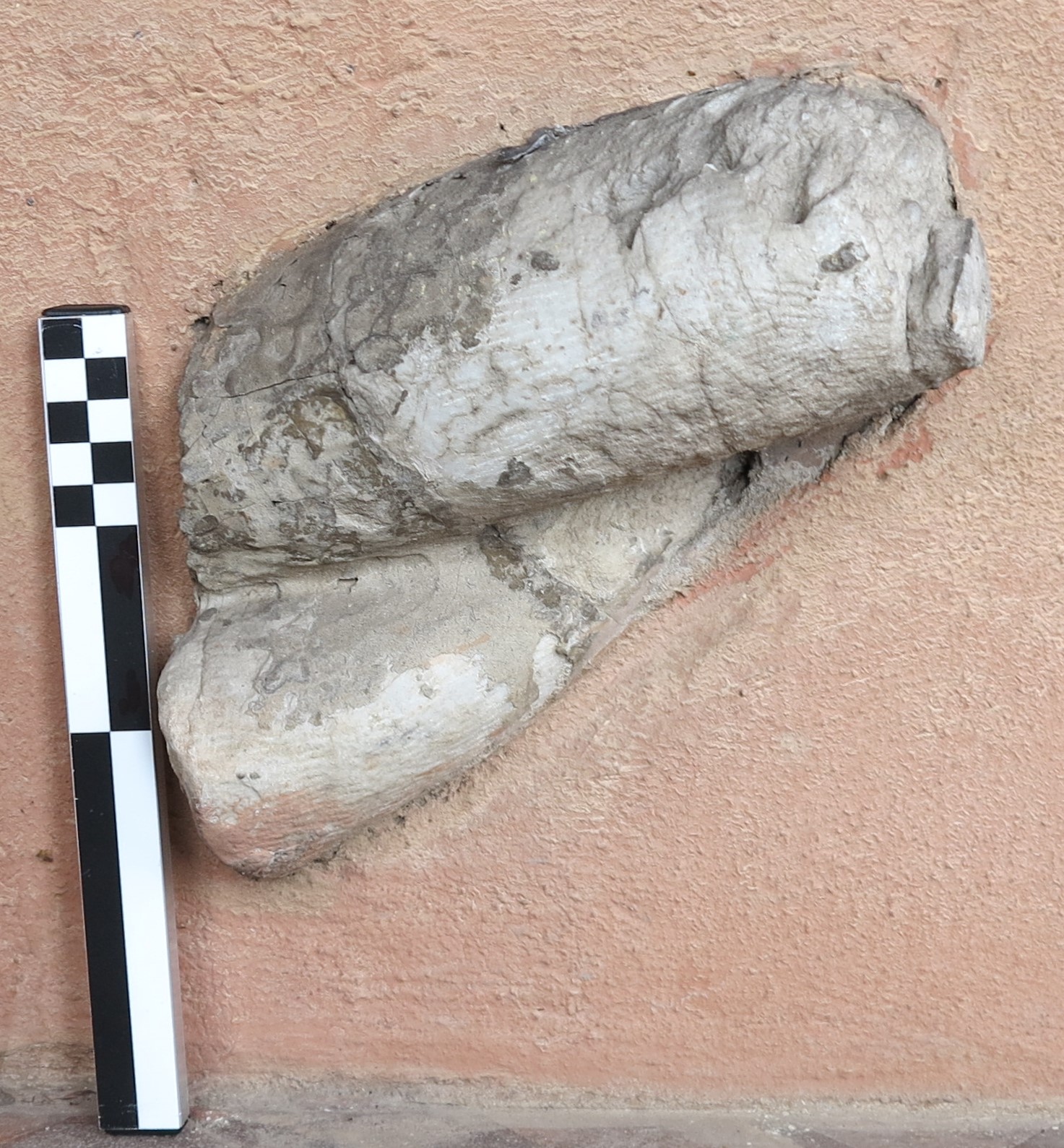 colonna/ tortile (PERIODIZZAZIONI/ ARCHI DI PERIODI/ Alto medioevo-Basso medioevo)