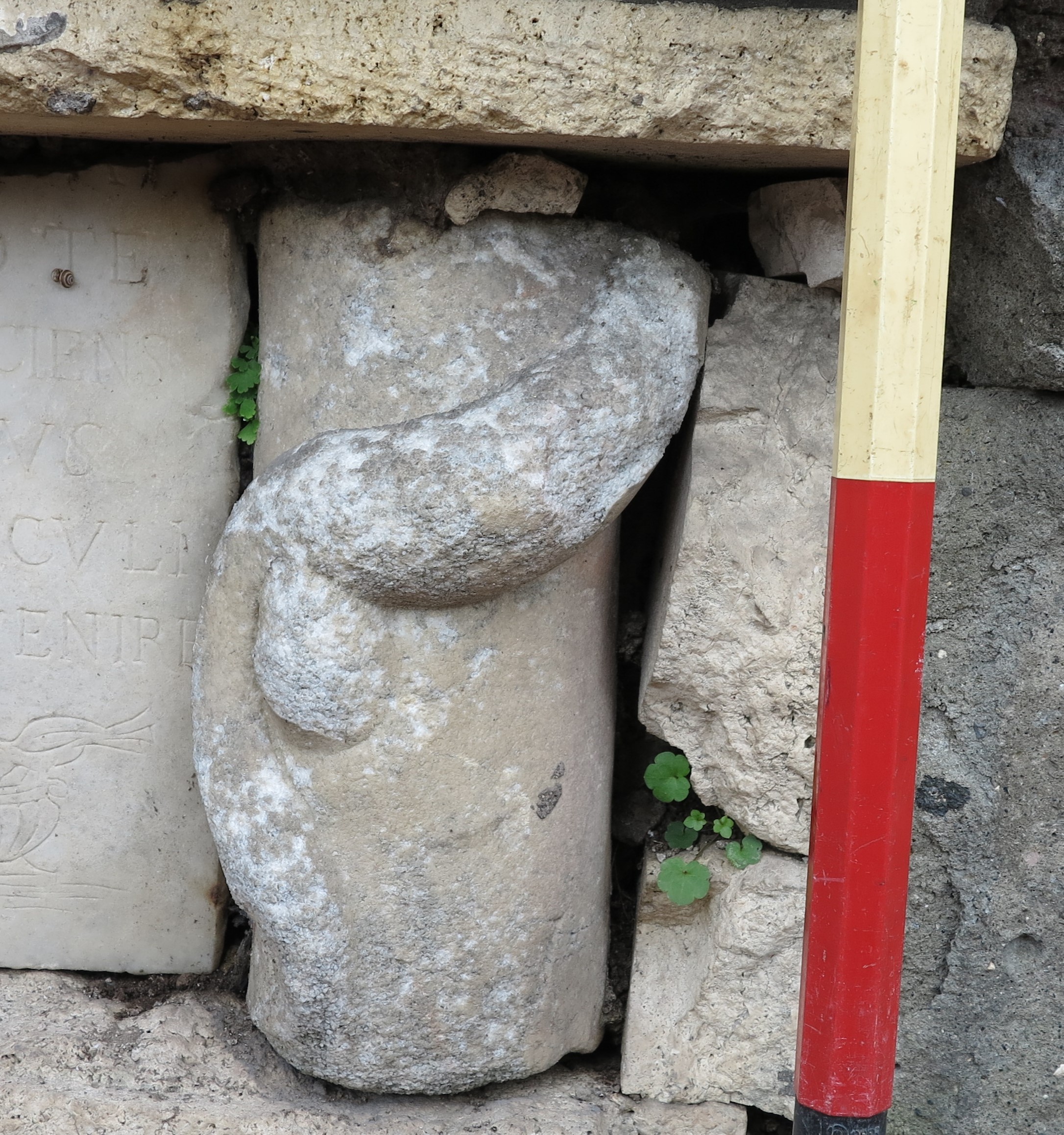 Asclepio (statua/ sostegno) (SECOLI/ ARCHI DI SECOLI/ I-II)