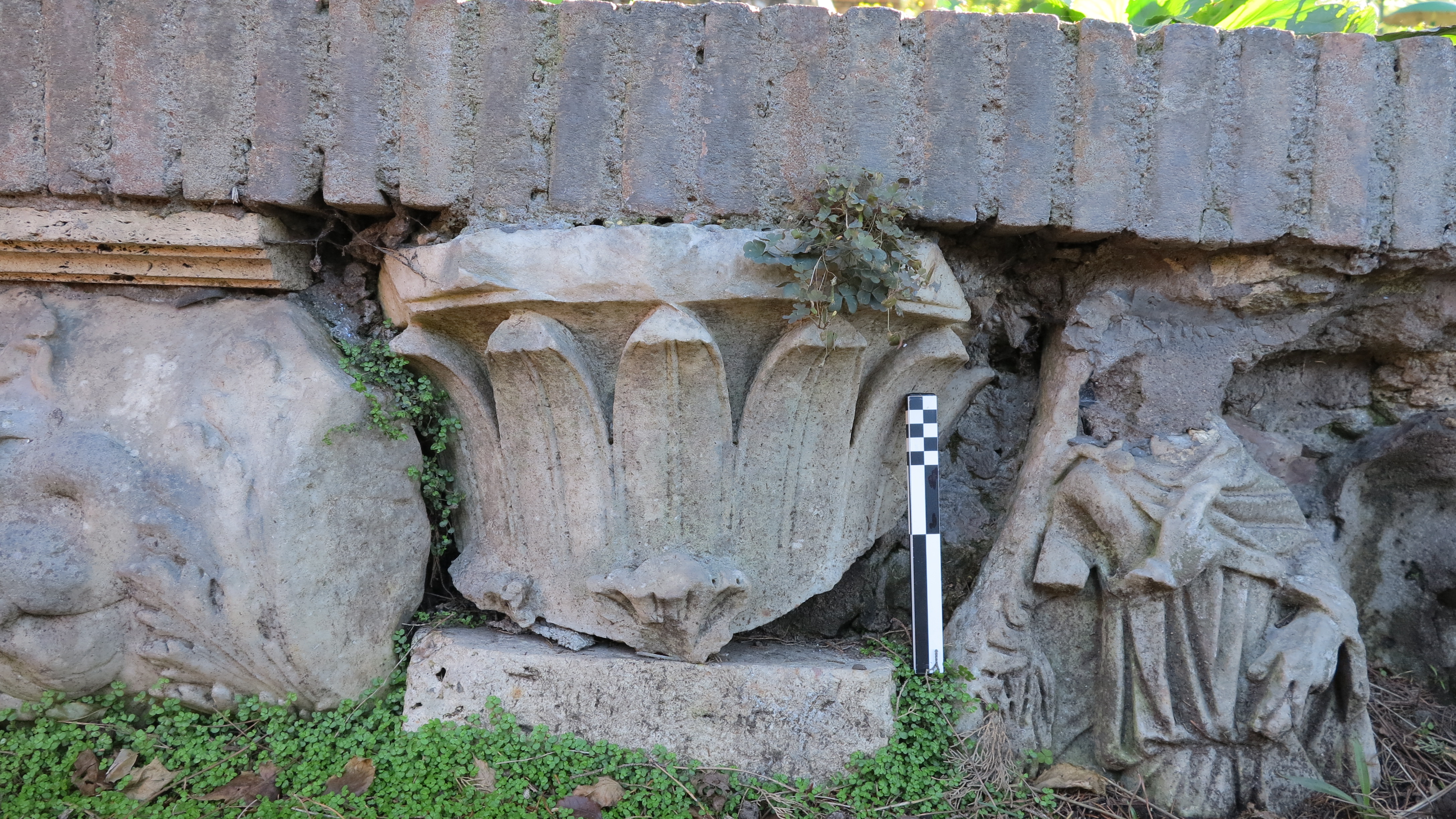 capitello, a calice (SECOLI/ II)