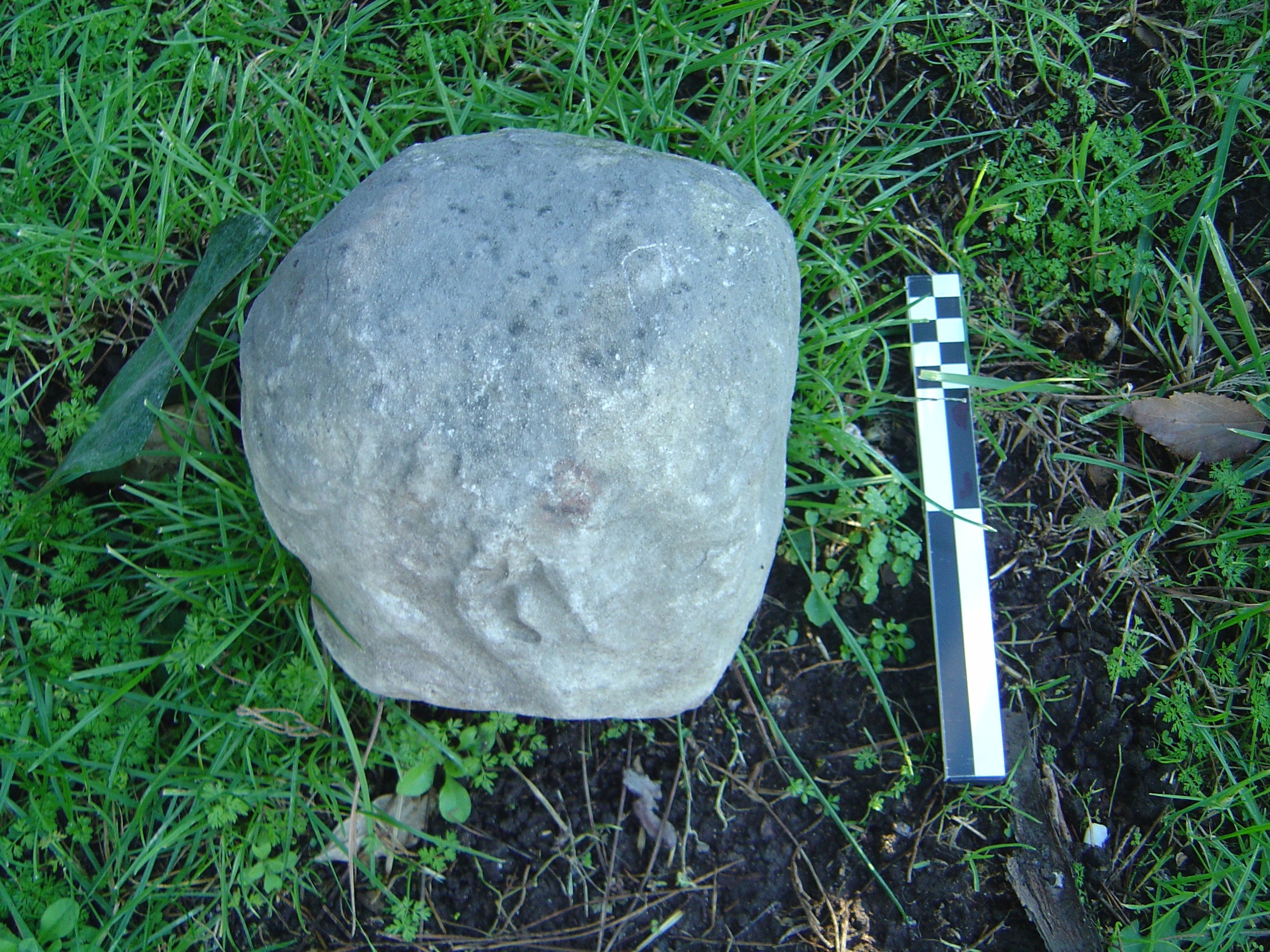 testa/ maschile (fine/ inizio SECOLI/ ARCHI DI SECOLI/ I a.C.- I)