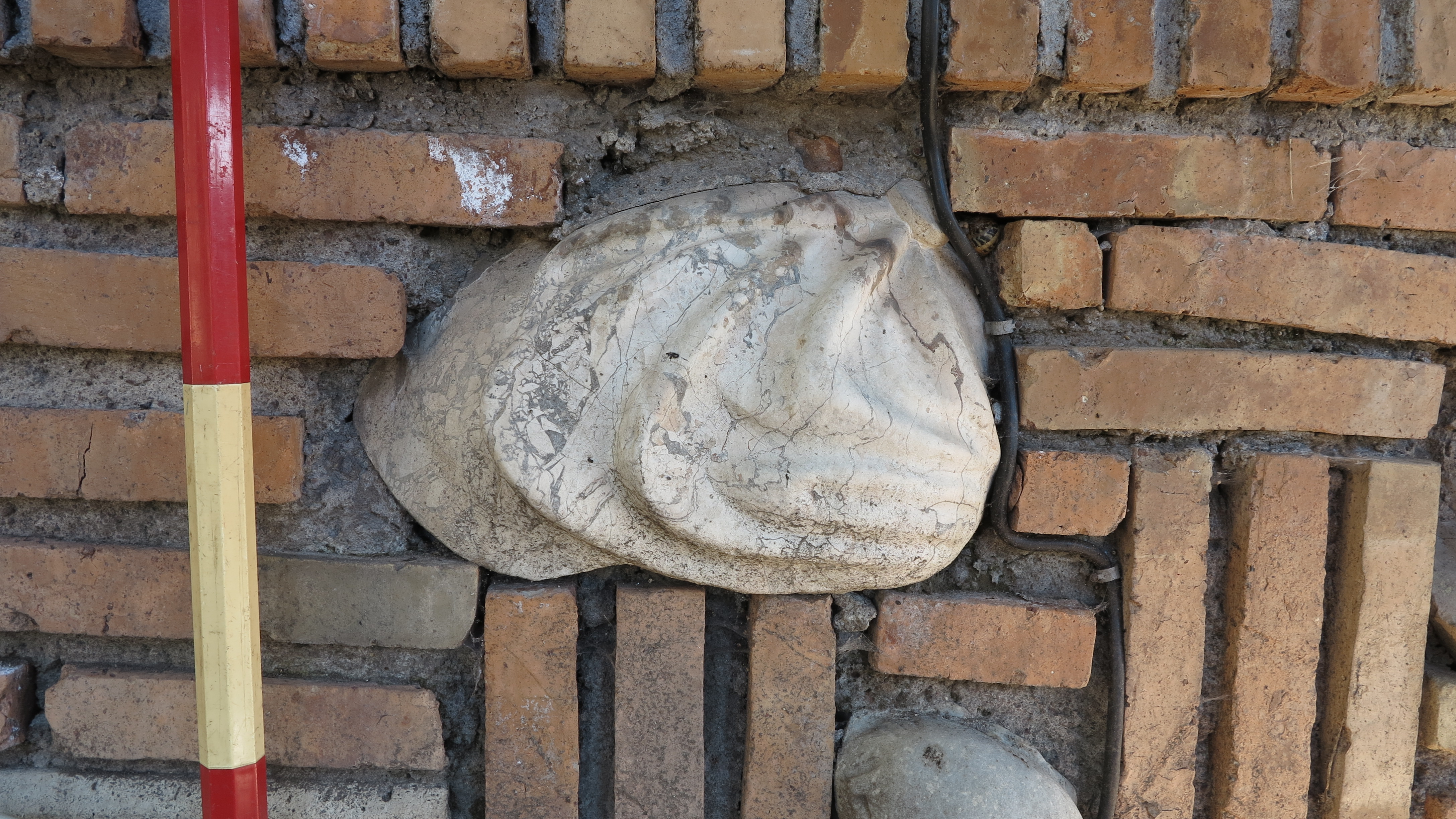 Servente orientale (statua/ busto, torso) (seconda metà SECOLI/ II)