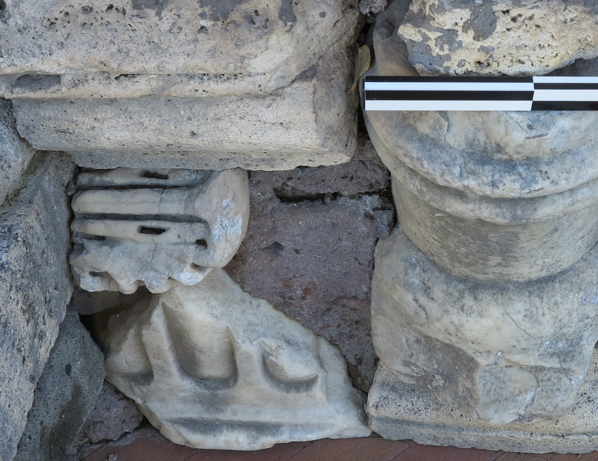 capitello/ foglia d'acanto, capitello corinzio (seconda metà SECOLI/ II)