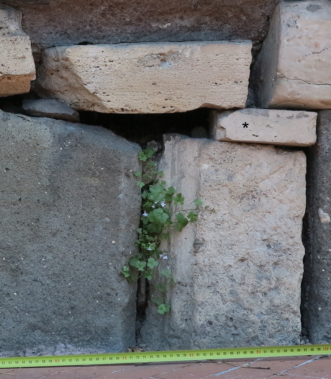 lastra/ di rivestimento pavimentale (SECOLI/ ARCHI DI SECOLI/ II a.C.-I)