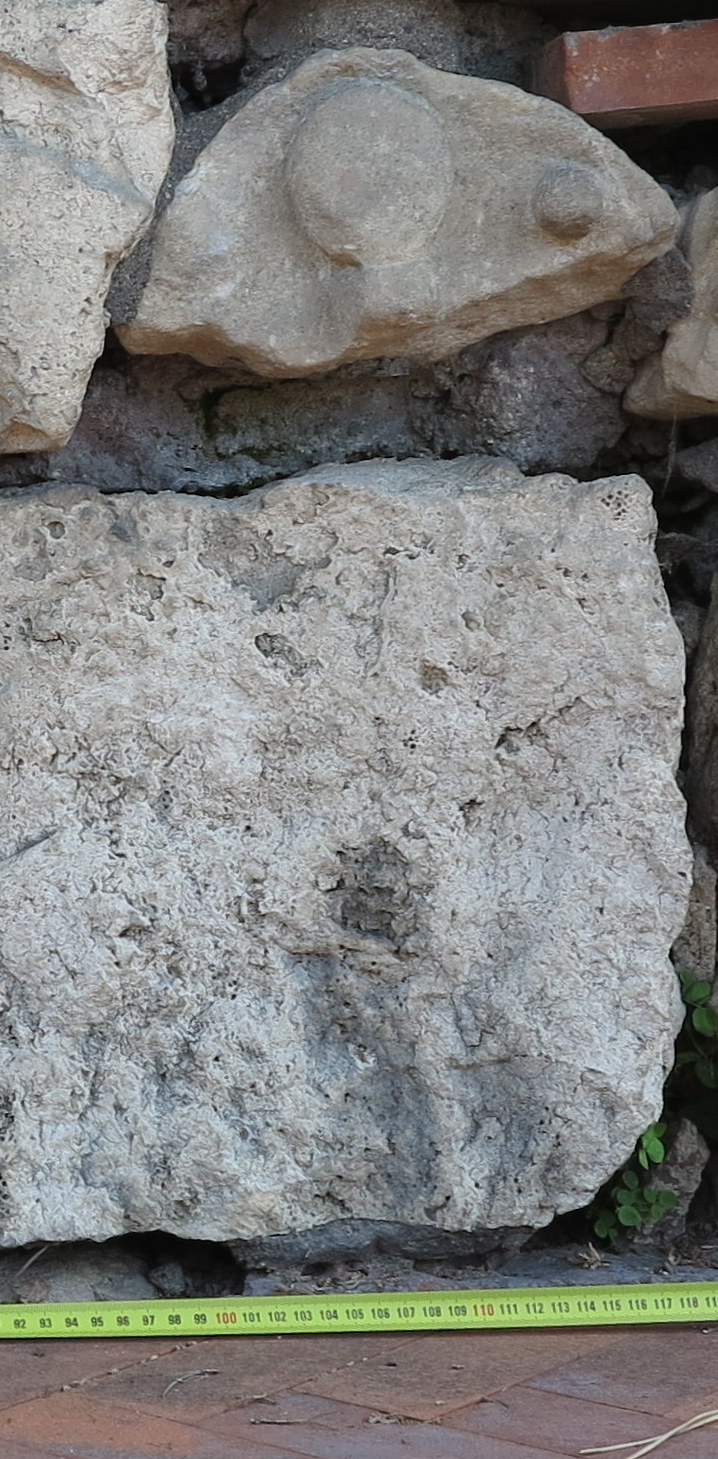 stemma (PERIODIZZAZIONI/ STORIA/ Età moderna)