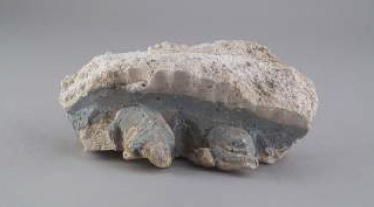 SINGOLO OGGETTO/ frammento, SECOLI/ I