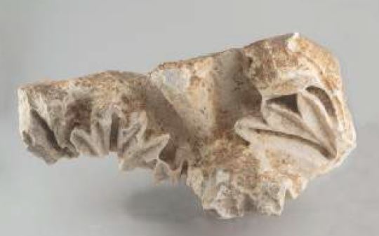 SINGOLO OGGETTO/ capitello, SECOLI/ II