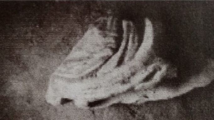 sarcofago/ fronte (SECOLI/ ARCHI DI SECOLI/ III - IV)