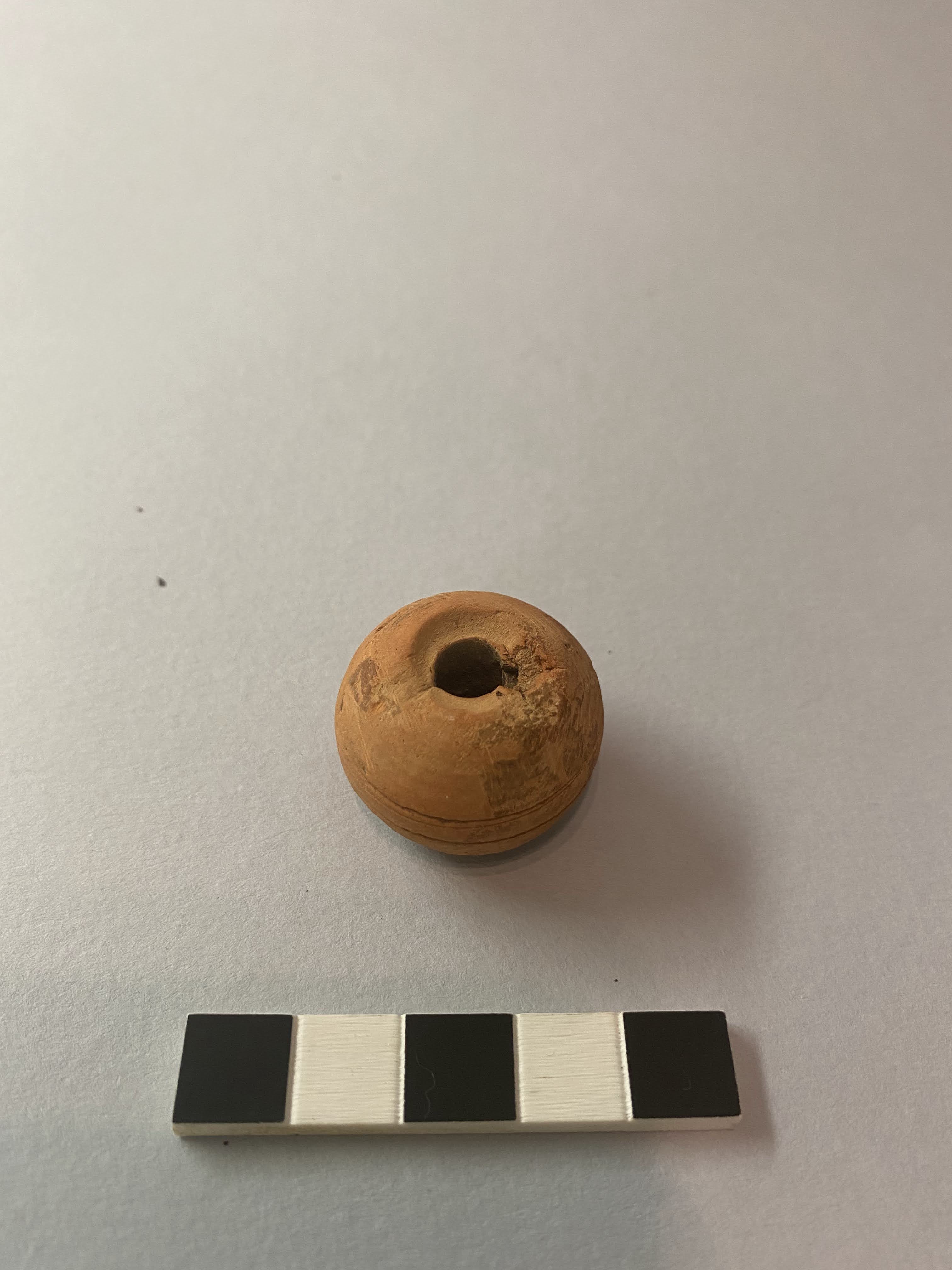 fuseruola/ a superficie liscia (PERIODIZZAZIONI/ STORIA/ Età medievale/ Basso Medioevo)