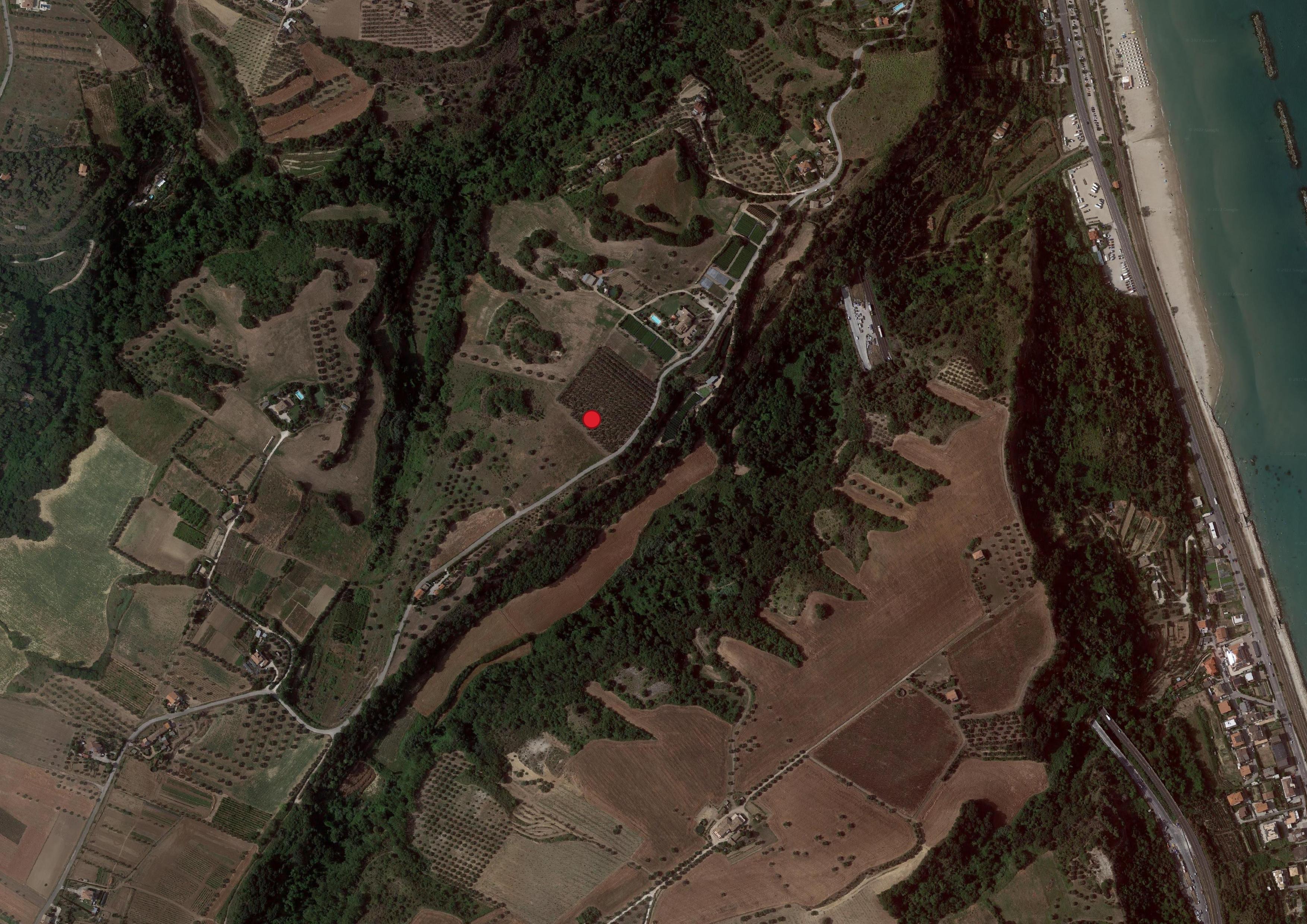 area di materiale mobile, area di frammenti fittili - Cupra Marittima (AP)  (PERIODIZZAZIONI/ PROTOSTORIA/ Età del Ferro)