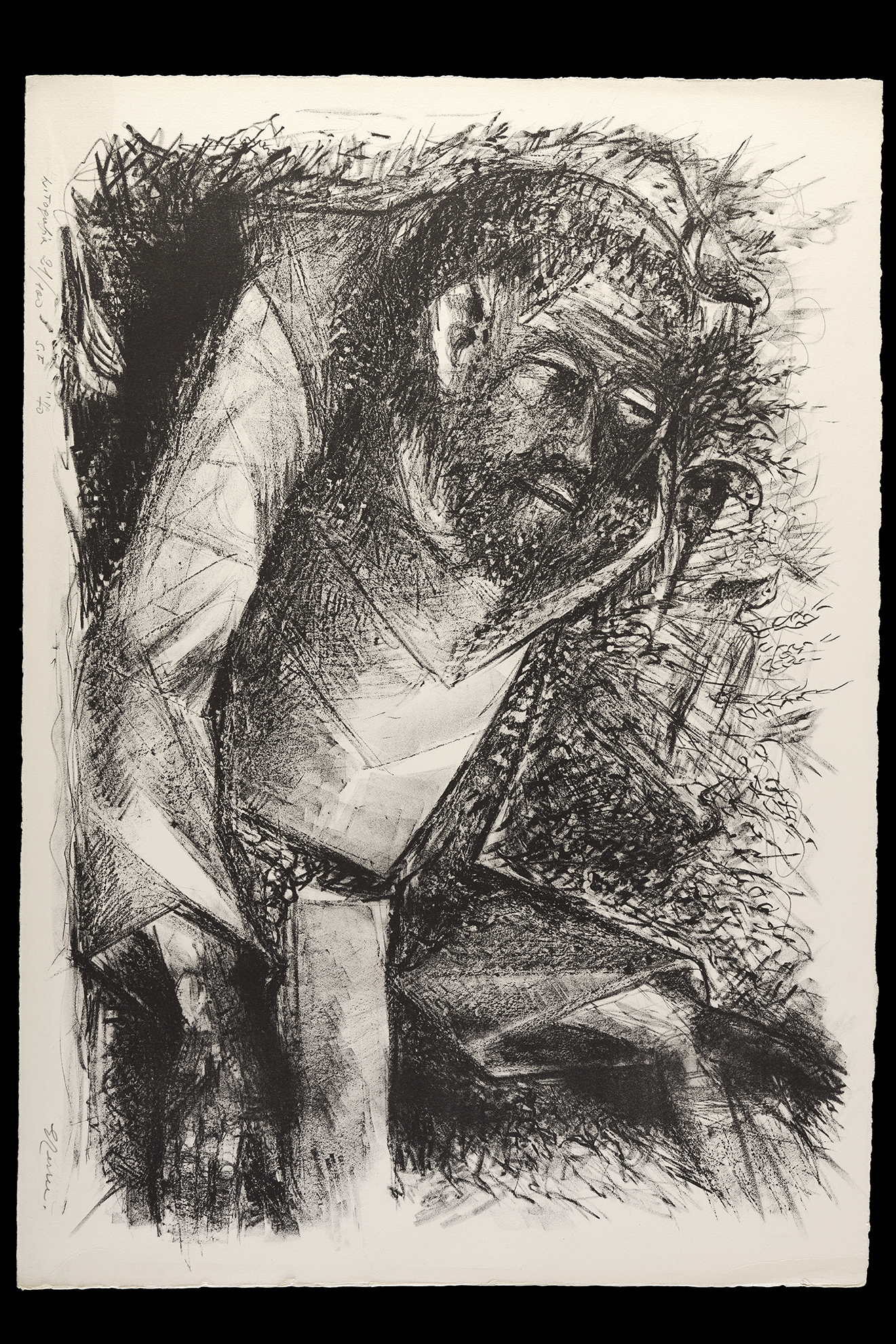 San Francesco, le stimmate e gli uccelli, San Francesco (stampa) di Terreni Gino (terzo quarto XX)