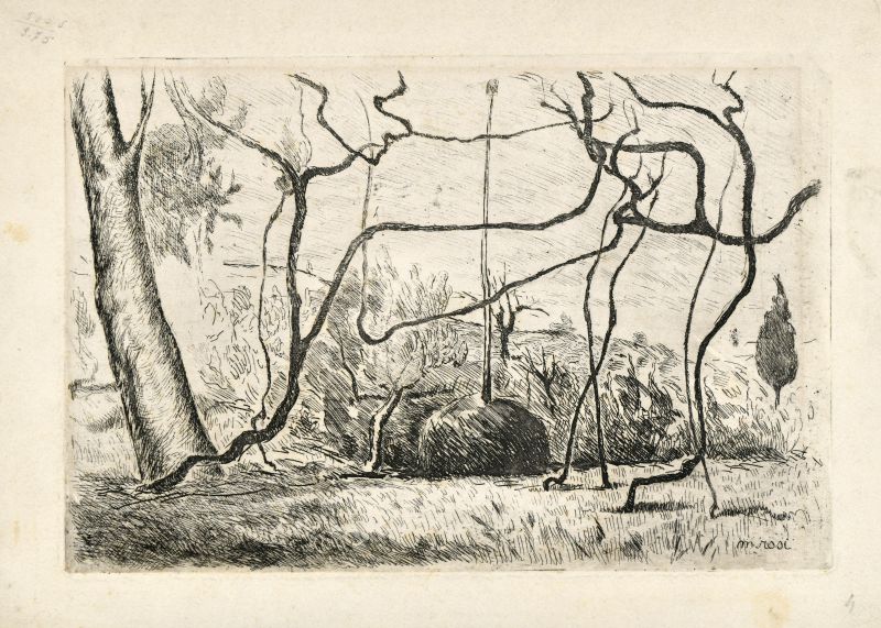 La vigna secca, Paesaggio con vigna secca (stampa) di Rosi Mino (XX)