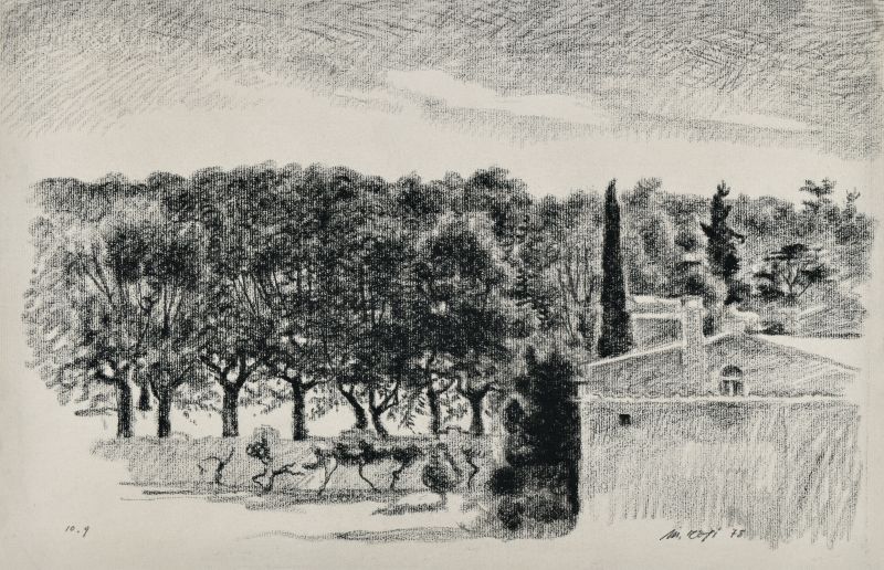 Piazza S. Caterina, Veduta di Piazza S. Caterina a Pisa (disegno) di Rosi Mino (XX)