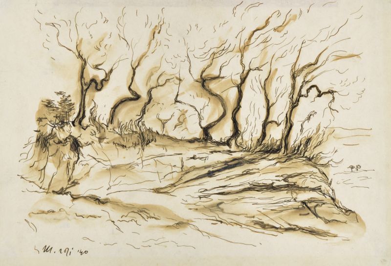 Alberi controluce, Alberi spogli in controluce (disegno) di Rosi Mino (XX)