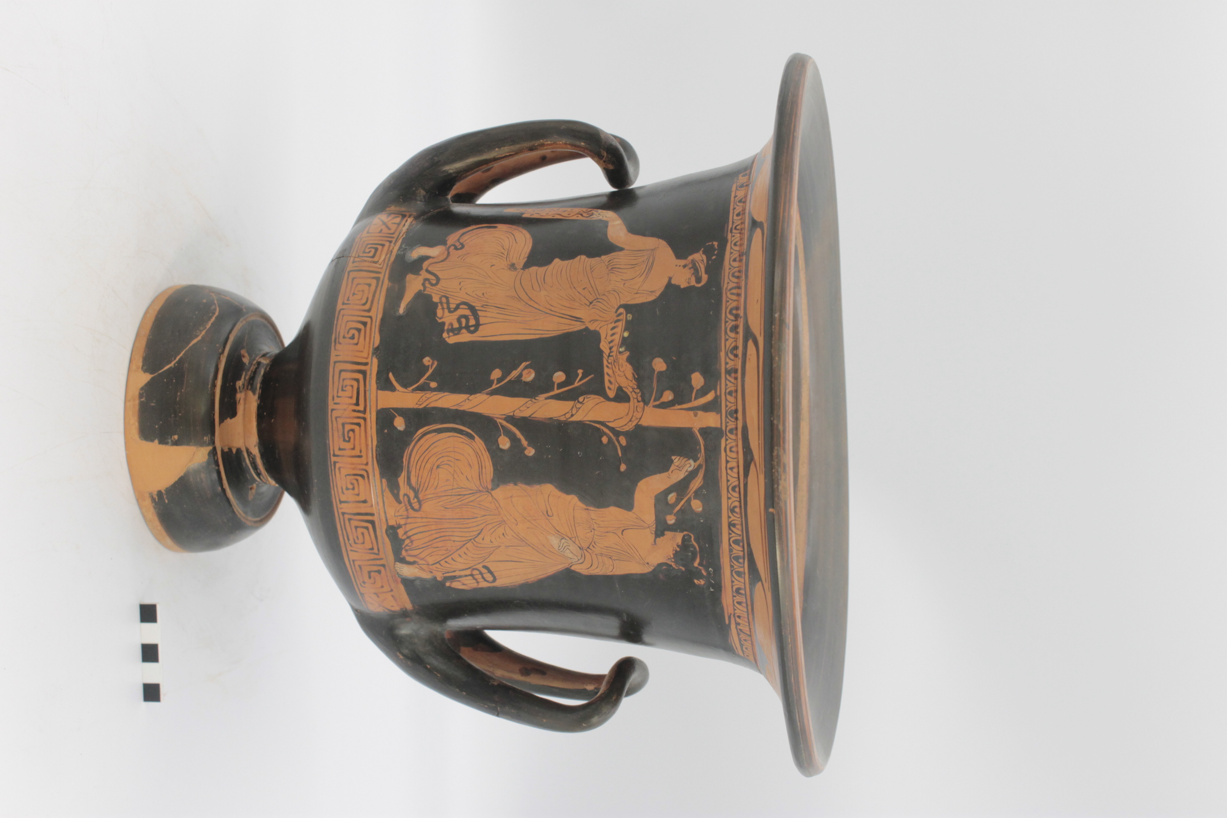 cratere, a calice (fine SECOLI/ V a.C)