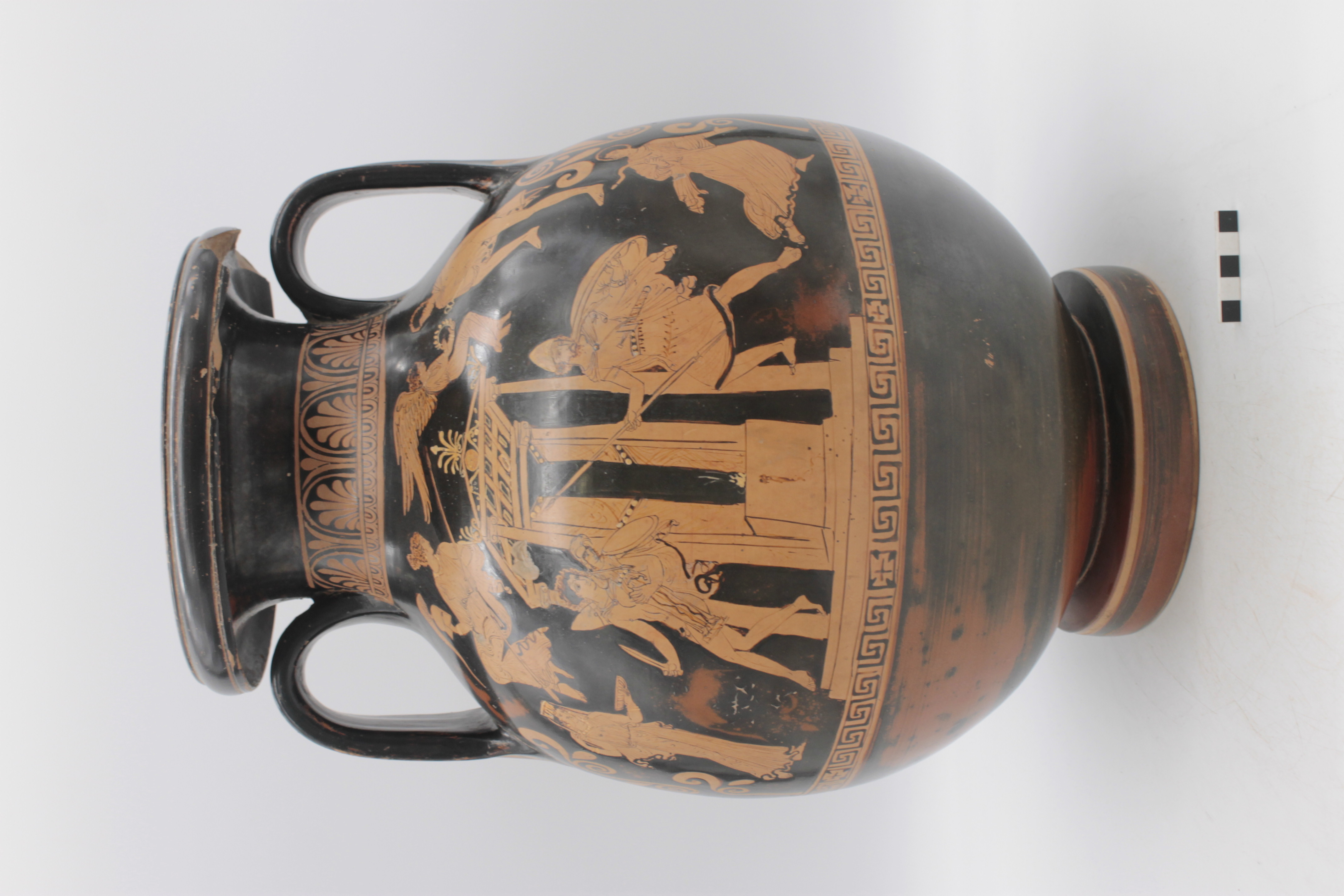 pelike - Pittore Salting (fine SECOLI/ V a.C)