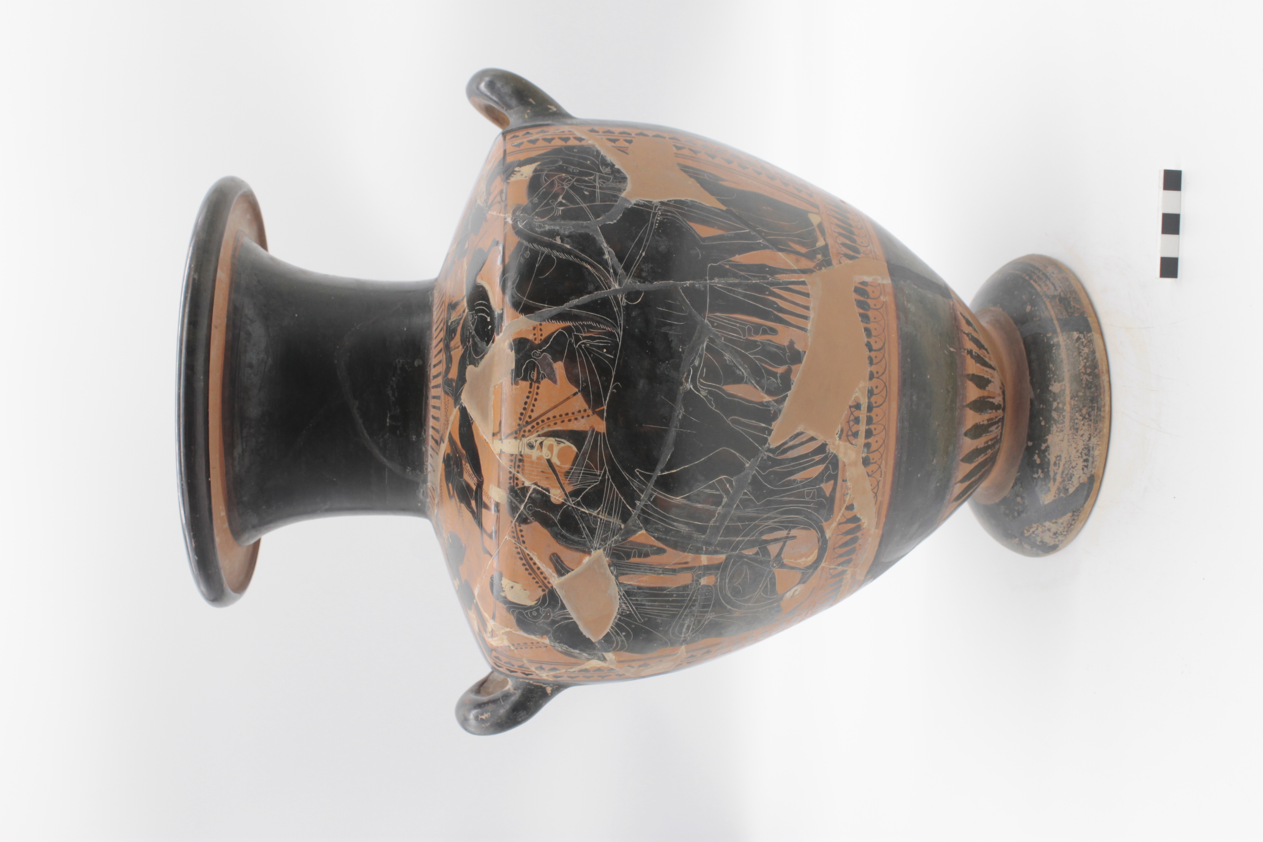 hydria - Pittore di Priamo (SECOLI/ VI a.C)