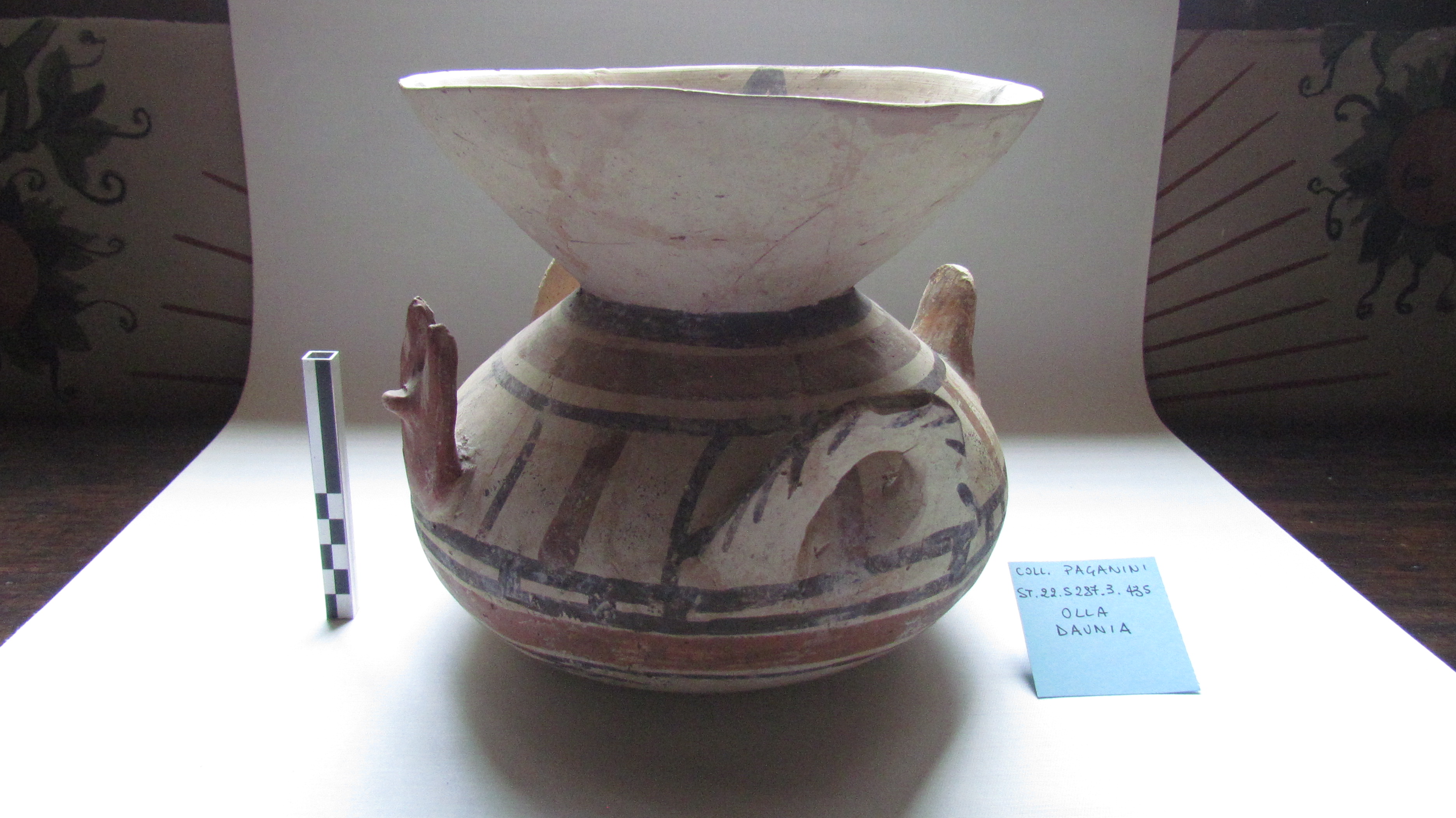 SINGOLO OGGETTO/ olla, SECOLI/ IV a.C