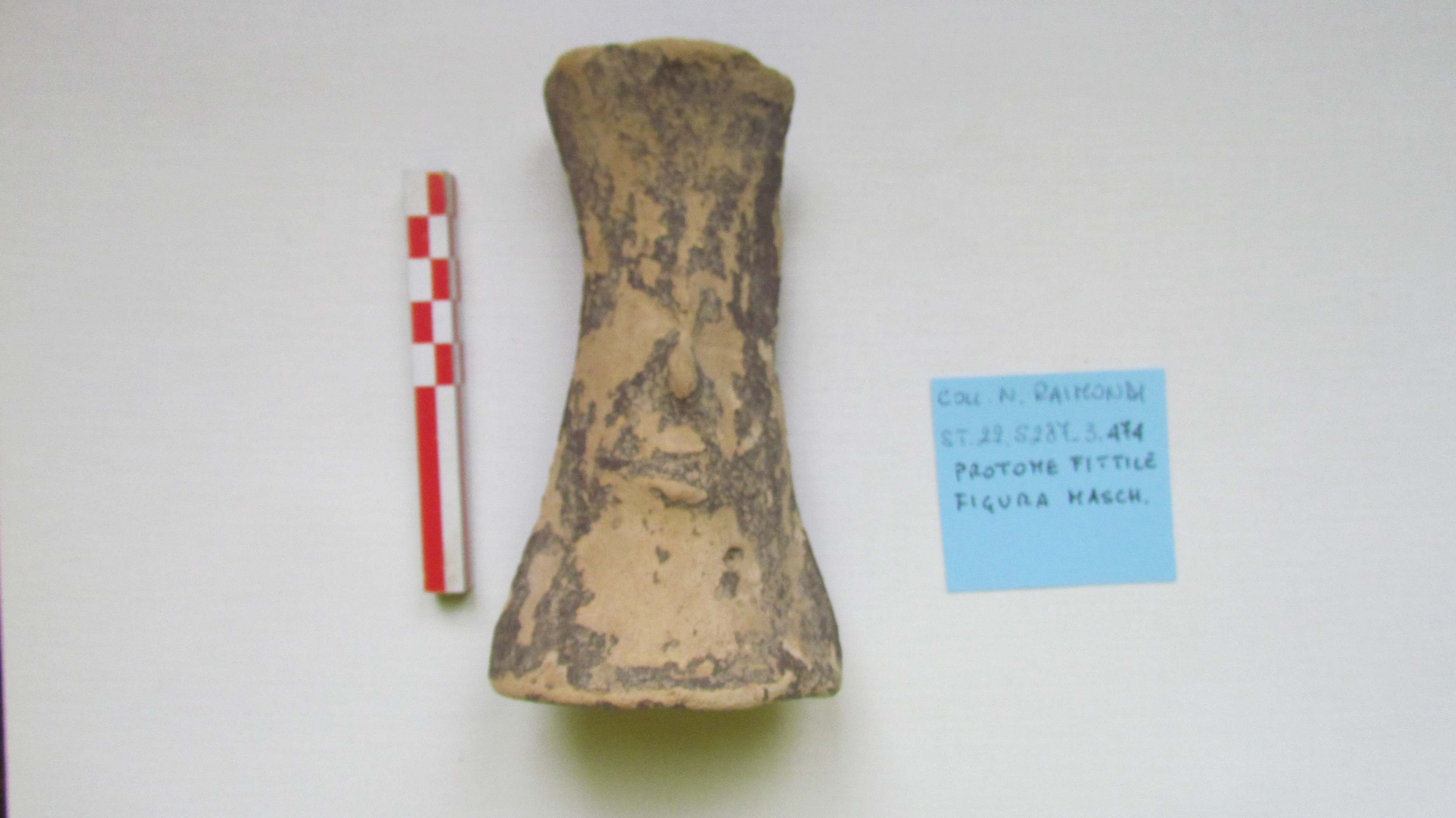 SINGOLO OGGETTO/ protome, non determinabile