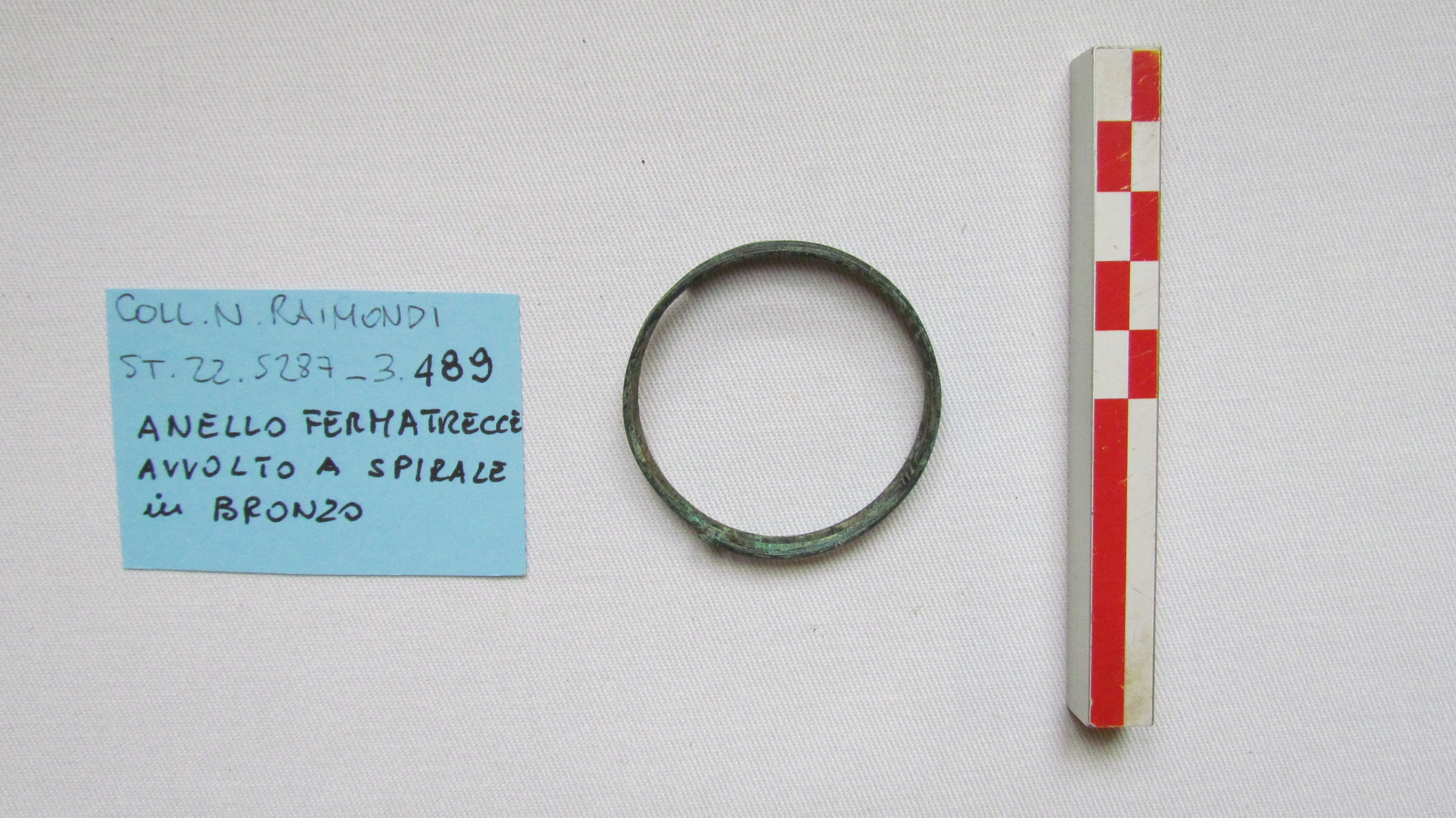 SINGOLO OGGETTO/ anello, non determinabile