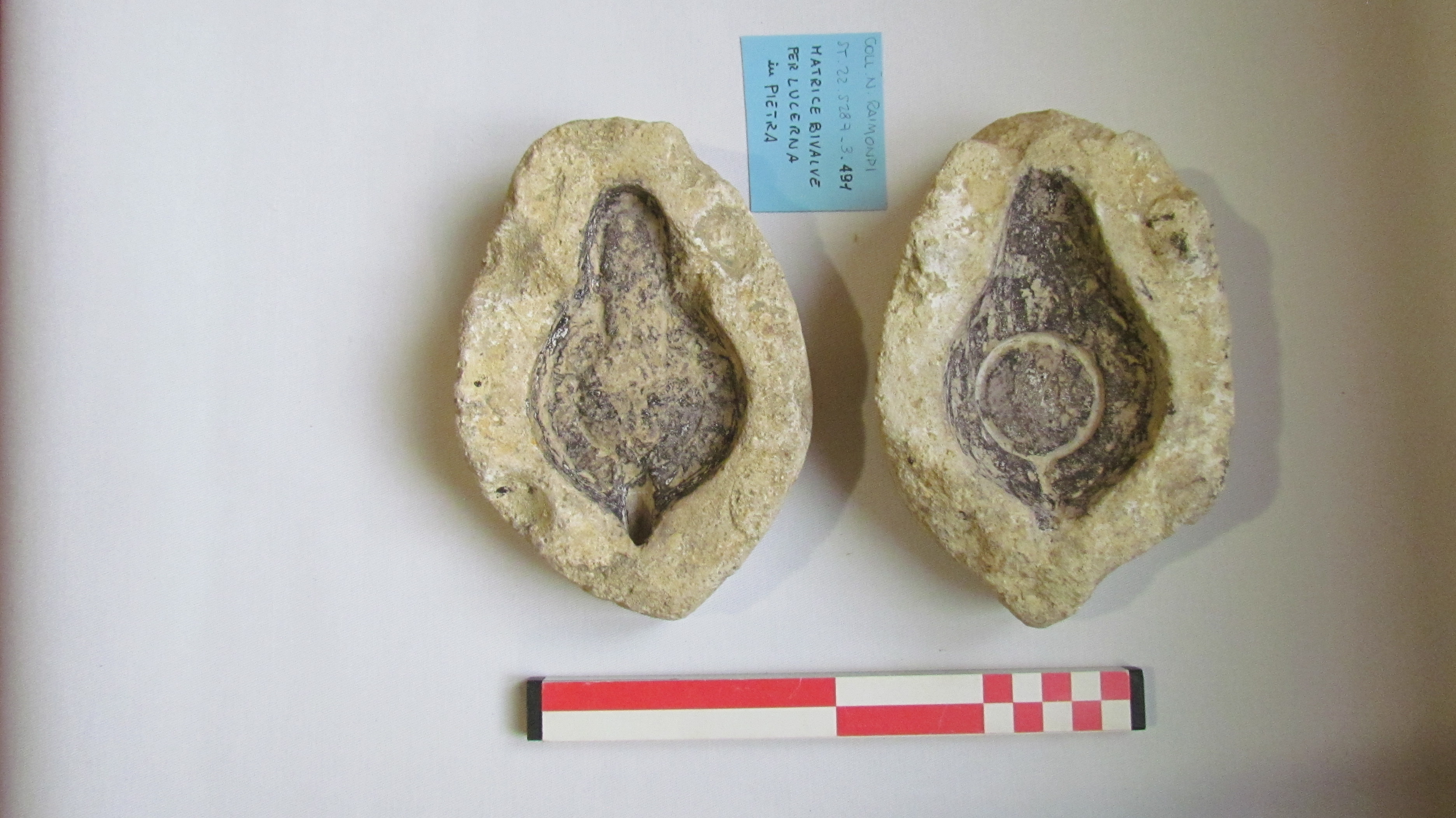 SINGOLO OGGETTO/ matrice, non determinabile