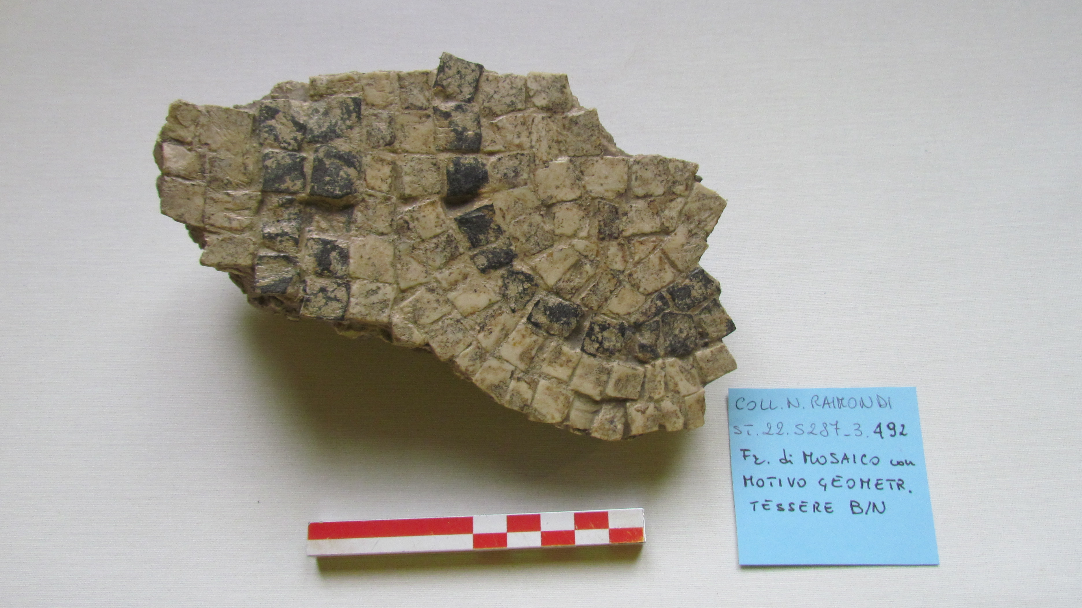 SINGOLO OGGETTO/ mosaico, non determinabile