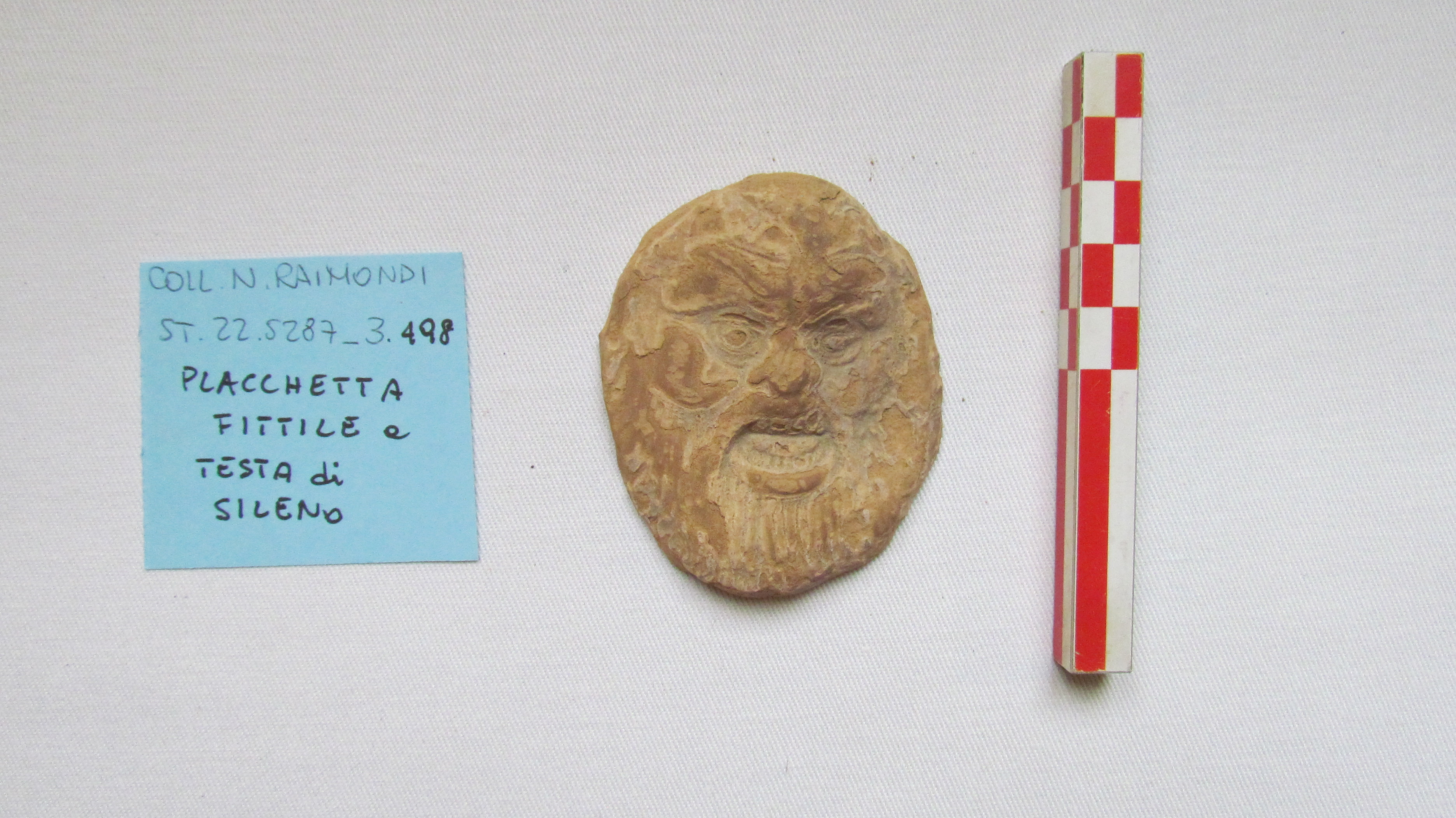 SINGOLO OGGETTO/ placca, non determinabile