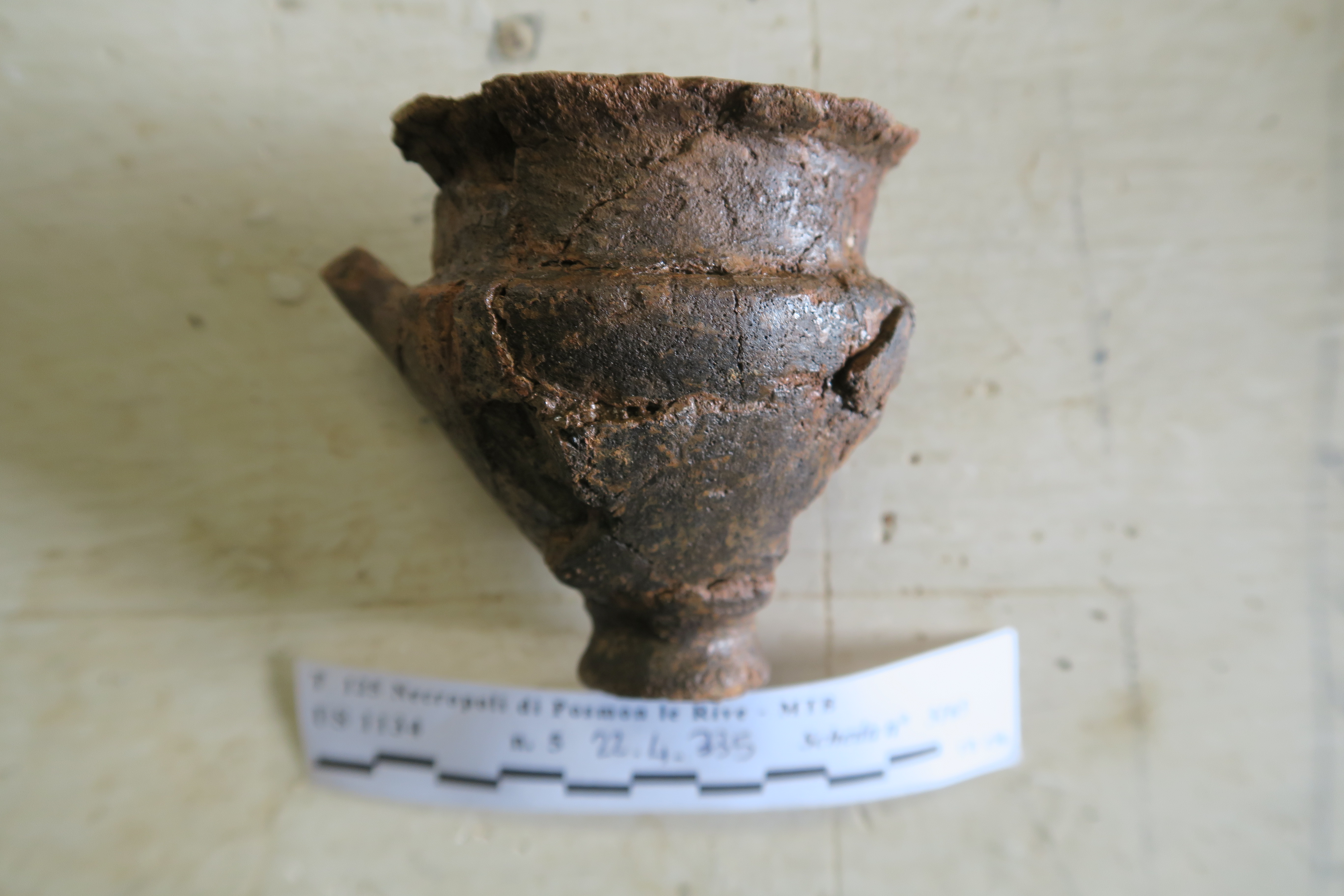 SINGOLO OGGETTO/ tazza, SECOLI/ ARCHI DI SECOLI/ VI a.C.-V a.C