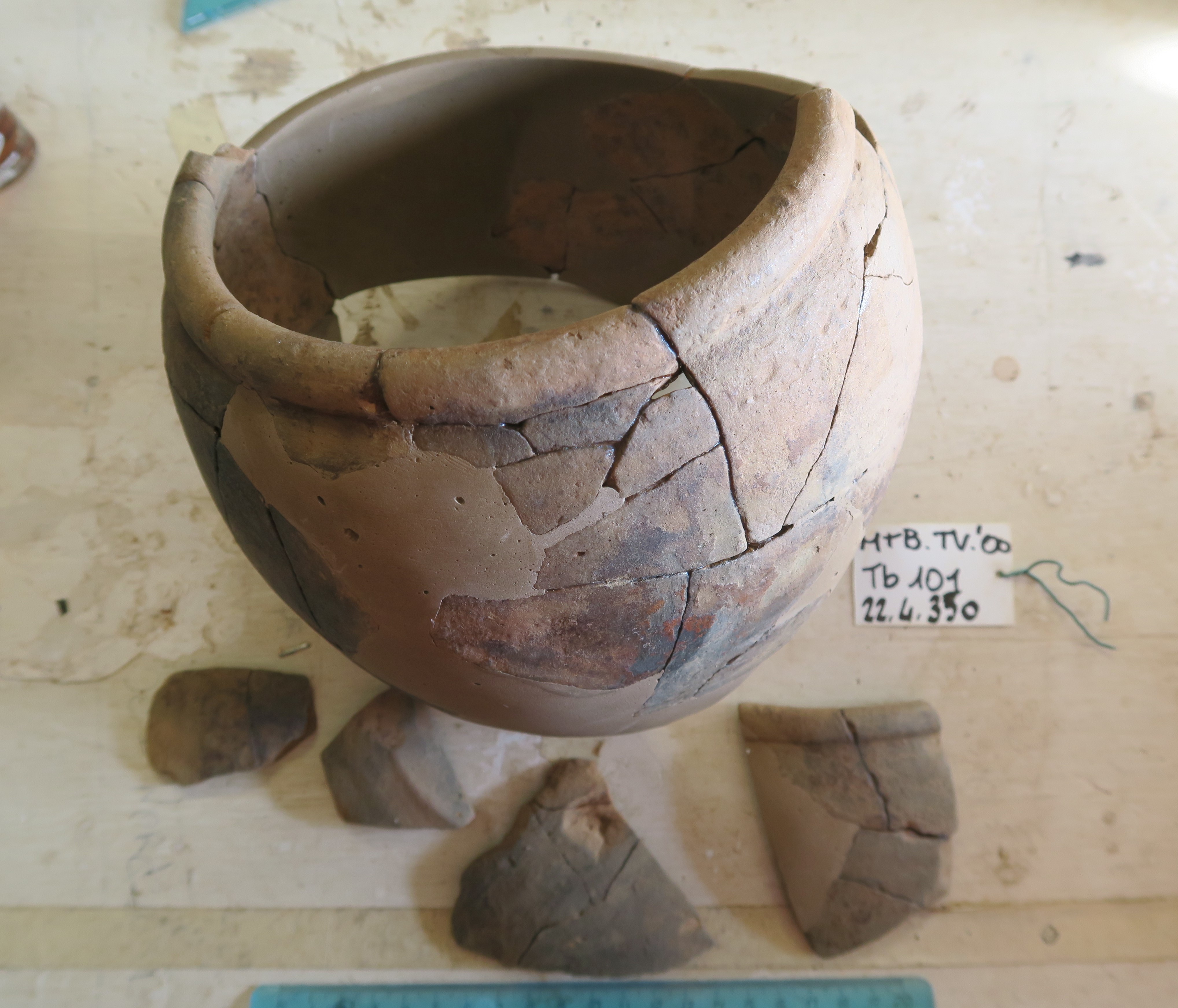 SINGOLO OGGETTO/ olla, SECOLI/ ARCHI DI SECOLI/ IV a.C.-I a.C