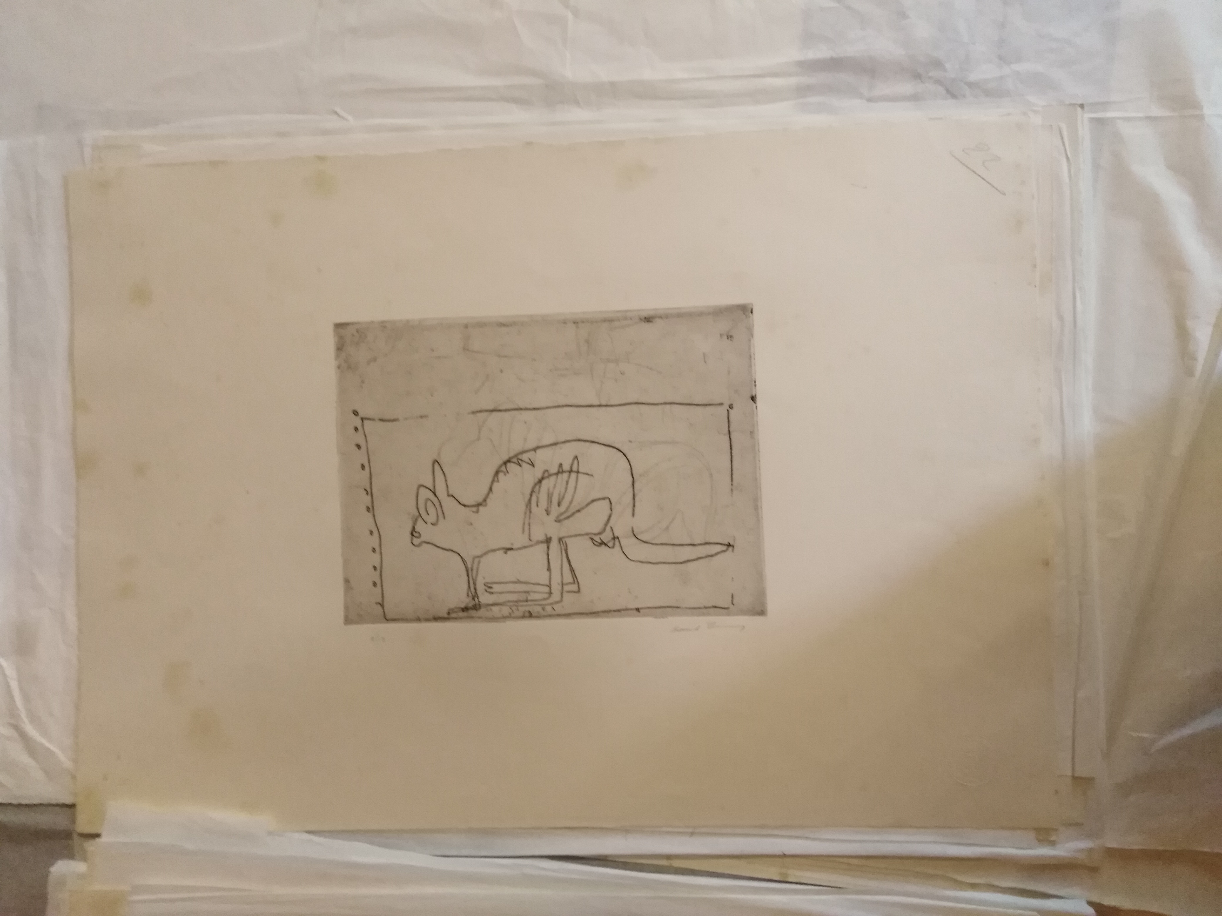 canguro (stampa) di Treccani Ernesto (XX)