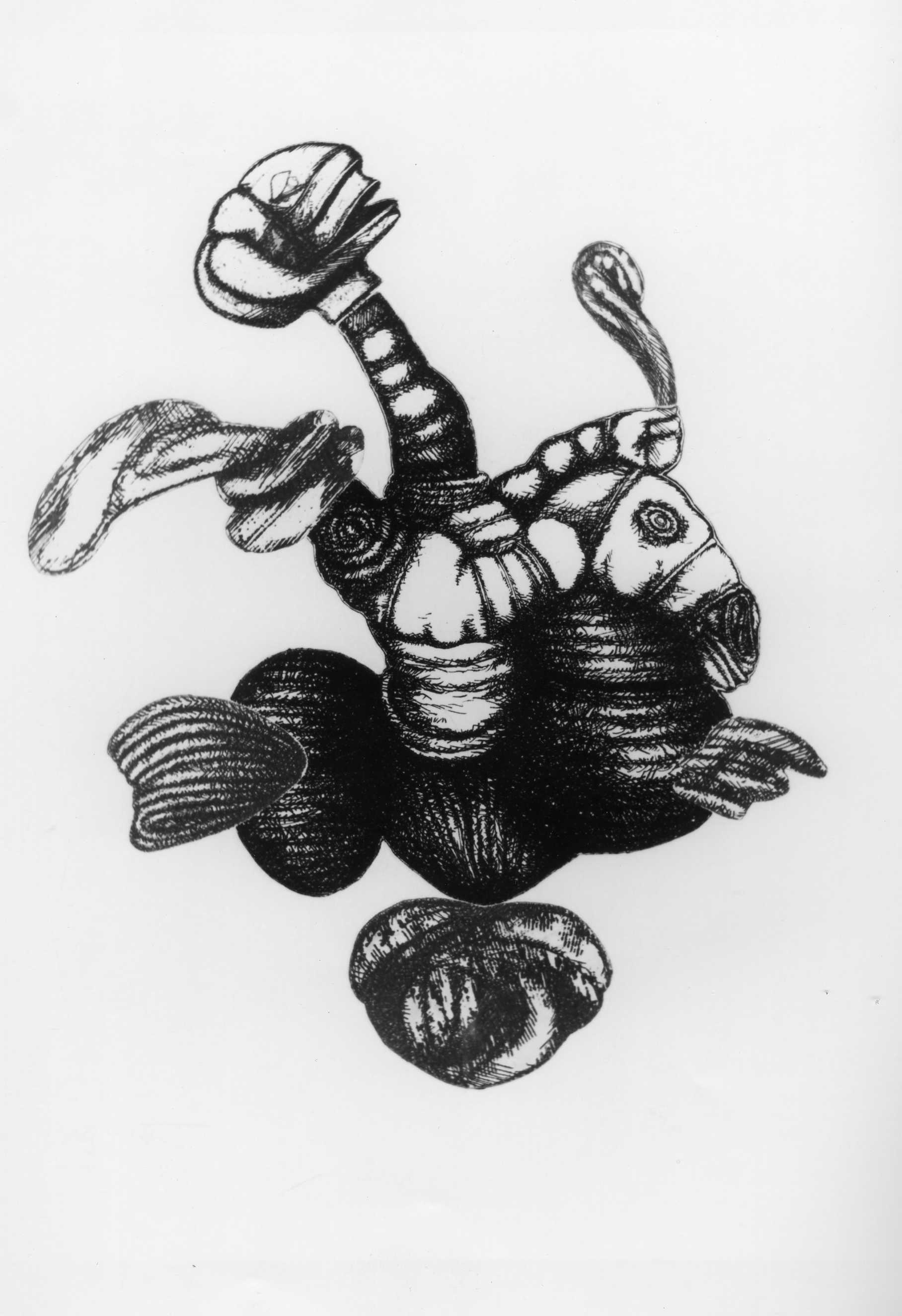 Le cose che volano, figure zoomorfe (stampa, serie) di De Vita Luciano (XX)