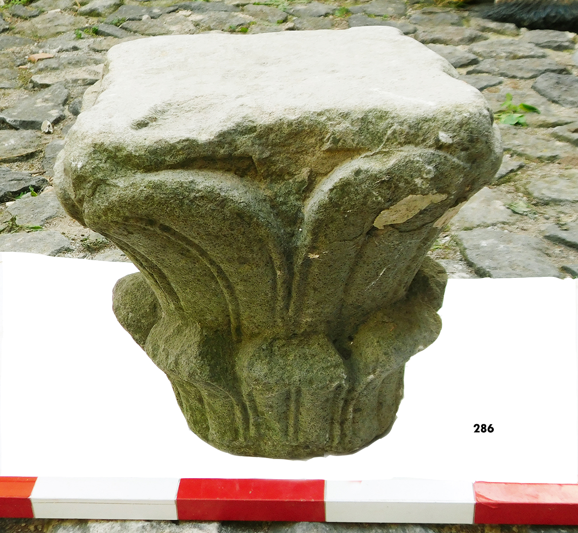SINGOLO OGGETTO/ capitello, SECOLI/ XIII-XIV