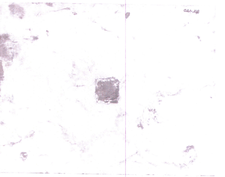 Pietra di consacrazione da inserire nell'altare (pietra sacra) di ignoto (bottega) - ambito Italia settentrionale (XIX-XX)