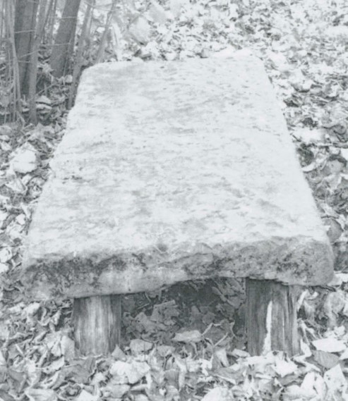 Vasca rettangolare per scarico acqua (riutilizzo) (lapide) di Ignoto (bottega) - ambito Italia settentrionale (XIX)