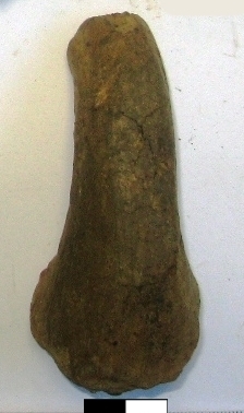 SINGOLO OGGETTO/ manica, PERIODIZZAZIONI/ ARCHI DI PERIODI/ Prima età del Ferro-Seconda età del Ferro