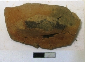 SINGOLO OGGETTO/ manica, PERIODIZZAZIONI/ ARCHI DI PERIODI/ Prima età del Ferro-Seconda età del Ferro