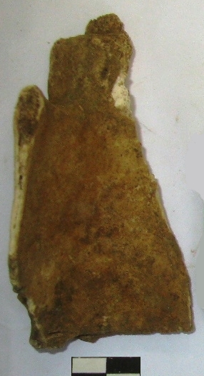 SINGOLO OGGETTO, PERIODIZZAZIONI/ ARCHI DI PERIODI/ Età romana repubblicana-Età romana imperiale