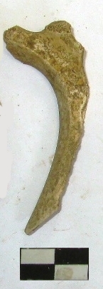 SINGOLO OGGETTO, PERIODIZZAZIONI/ ARCHI DI PERIODI/ Età romana repubblicana-Età romana imperiale