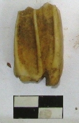 SINGOLO OGGETTO, PERIODIZZAZIONI/ ARCHI DI PERIODI/ Età romana repubblicana-Età romana imperiale