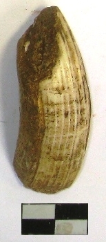 SINGOLO OGGETTO, PERIODIZZAZIONI/ ARCHI DI PERIODI/ Età romana repubblicana-Età romana imperiale