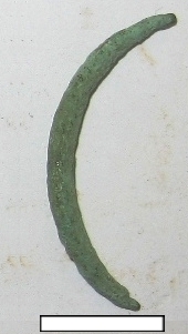 SINGOLO OGGETTO/ anello, PERIODIZZAZIONI/ ARCHI DI PERIODI/ Età romana repubblicana-Età romana imperiale