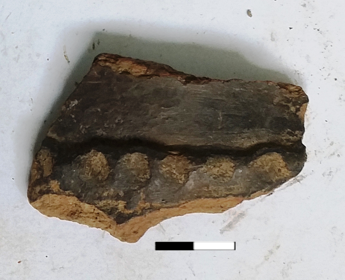SINGOLO OGGETTO/ olla, PERIODIZZAZIONI/ PROTOSTORIA/ Età del Ferro