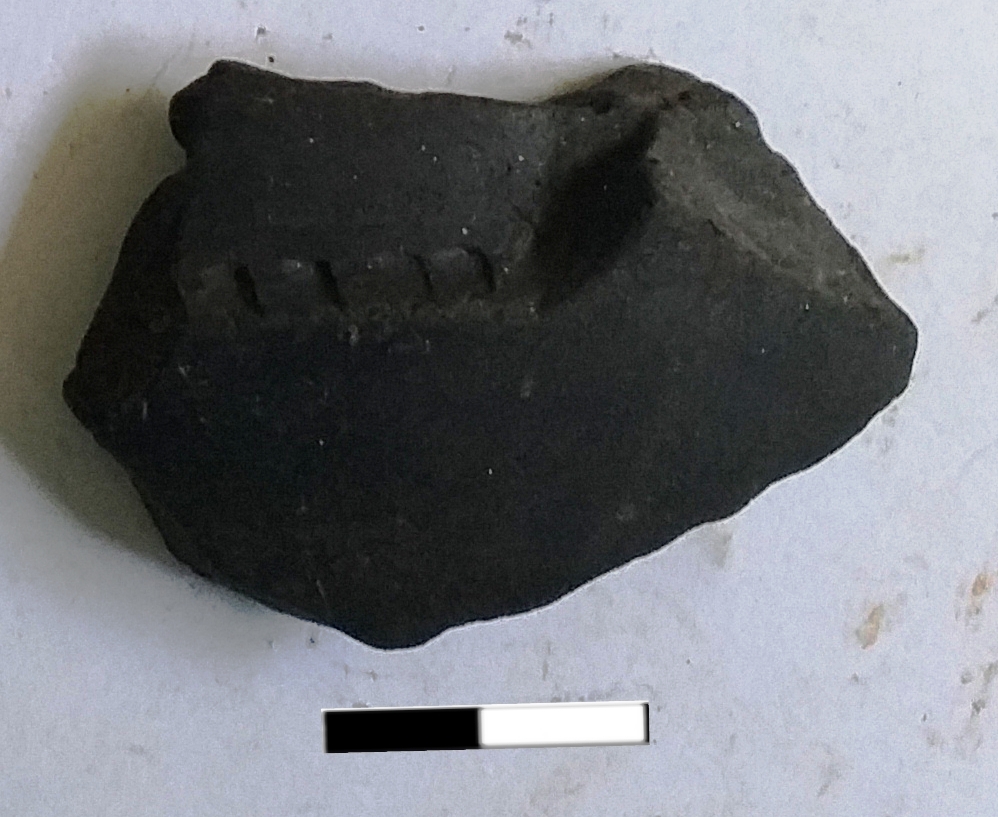 SINGOLO OGGETTO/ kantharos, PERIODIZZAZIONI/ PROTOSTORIA/ Età del Ferro